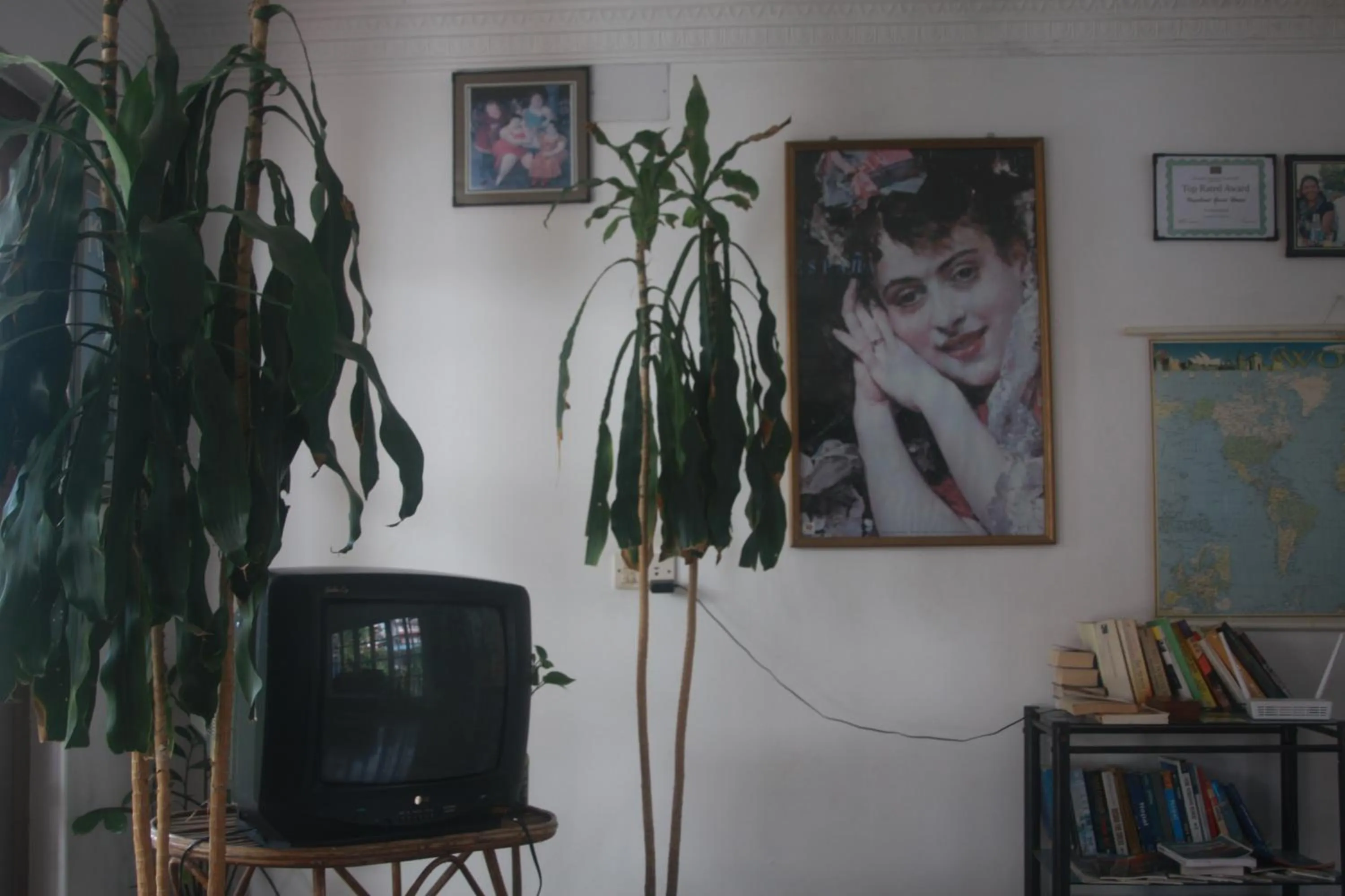 Communal lounge/ TV room in Vagabond Guest House