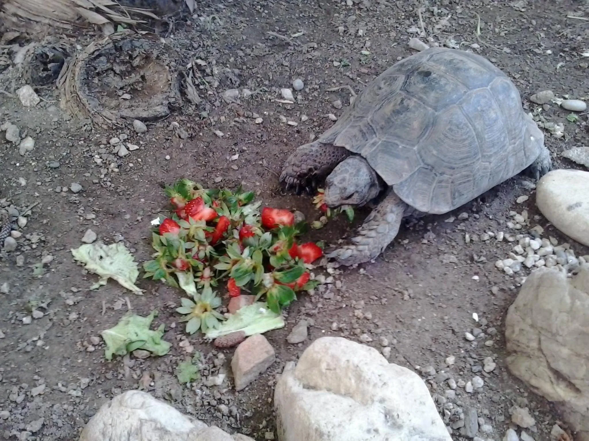 Facade/entrance in Hotel Anastasia