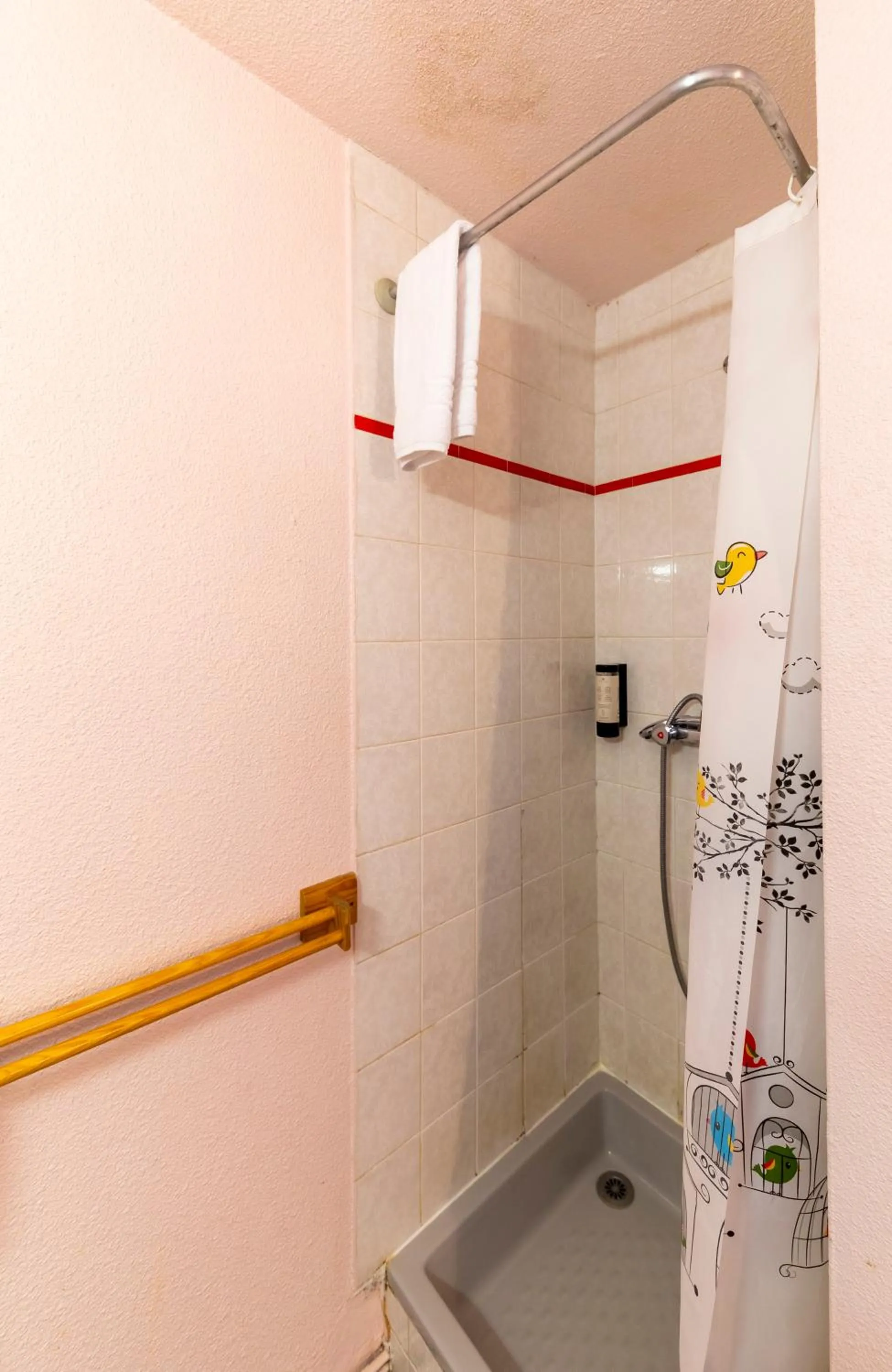 Shower in HOTEL DES NEIGES