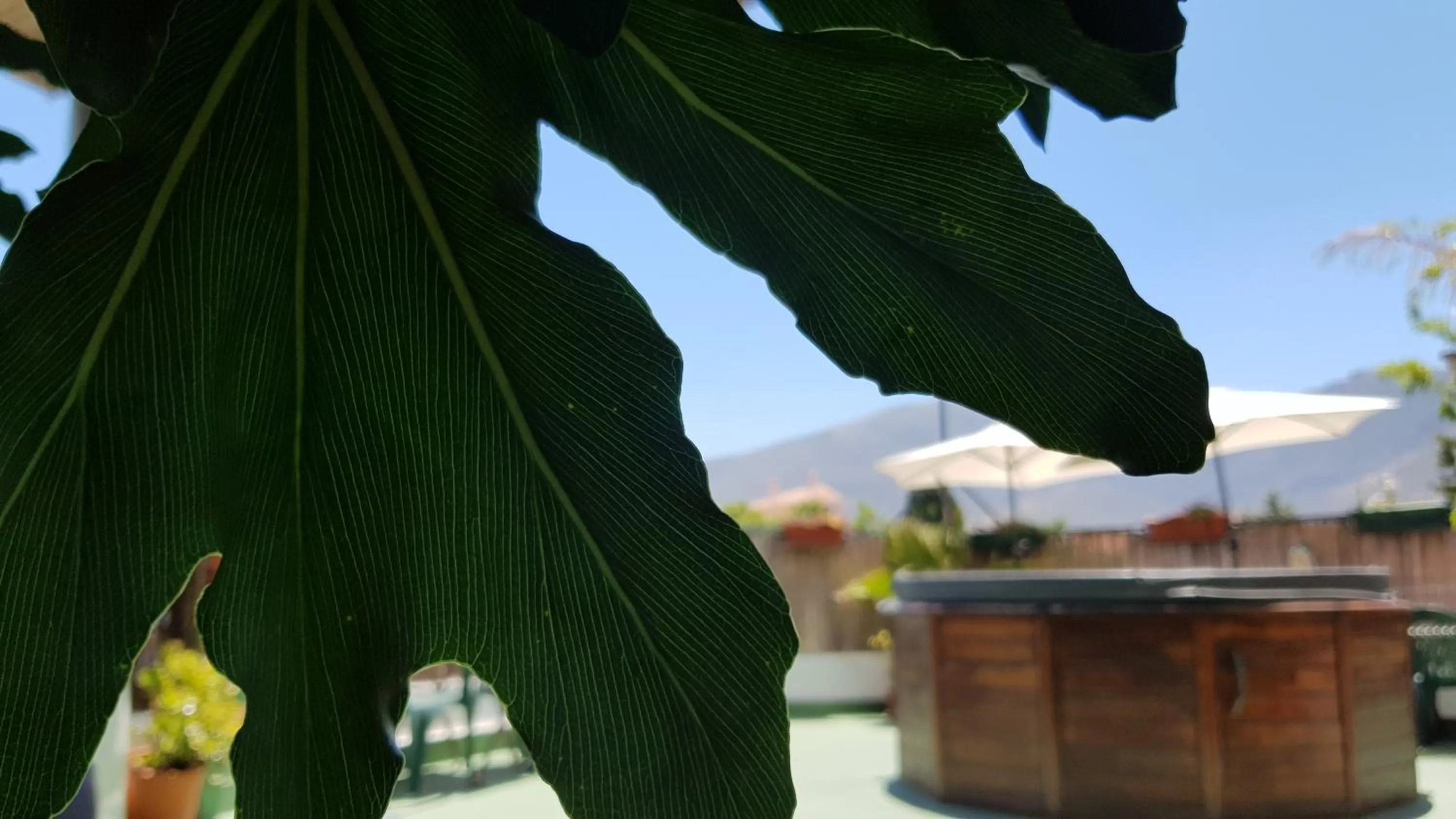 Property building in Posada Alpujarra Sol