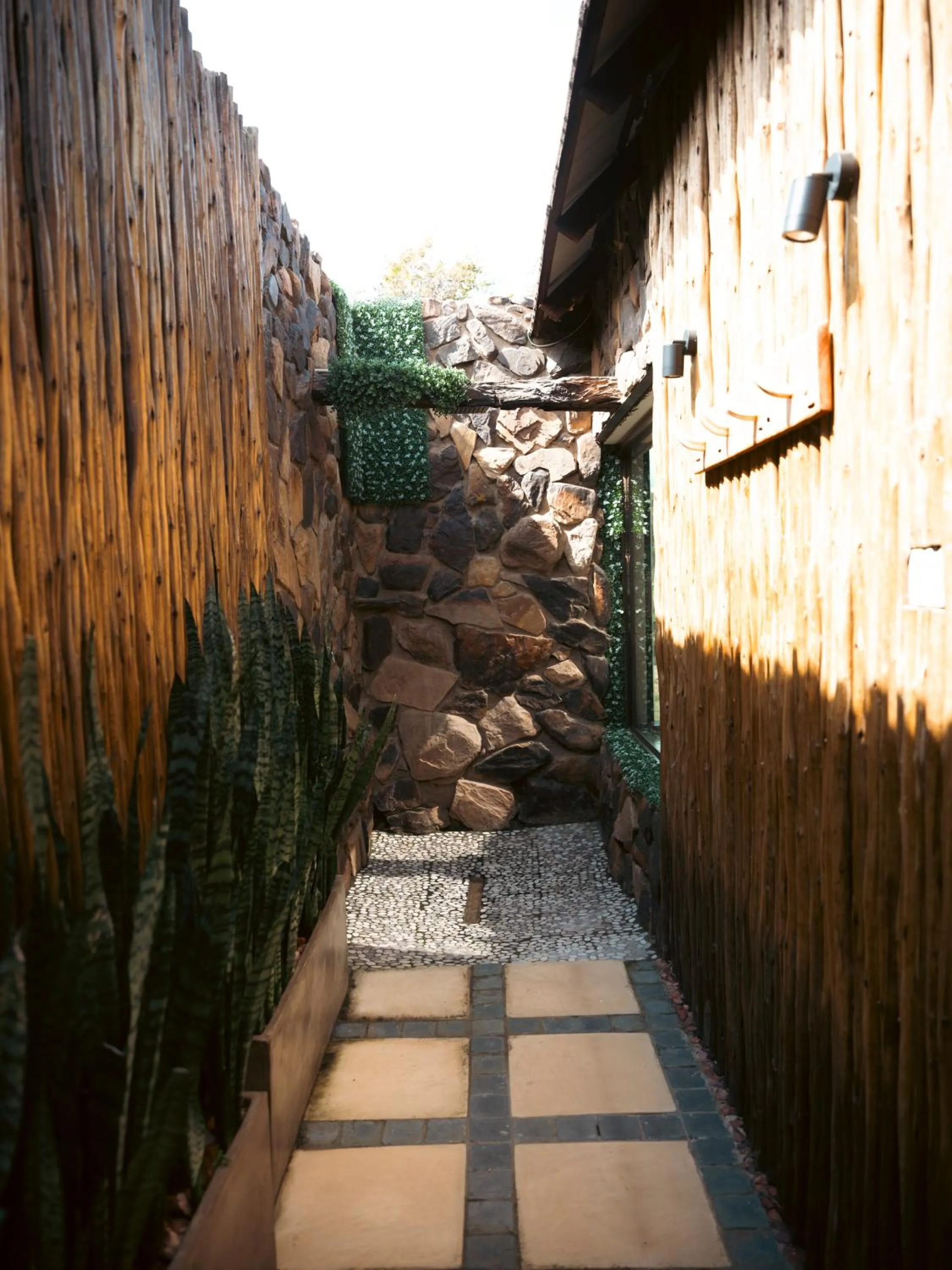 Day in Shekinah Lion & Game Lodge