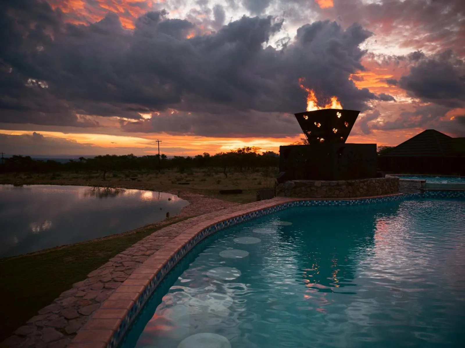 Shekinah Lion & Game Lodge