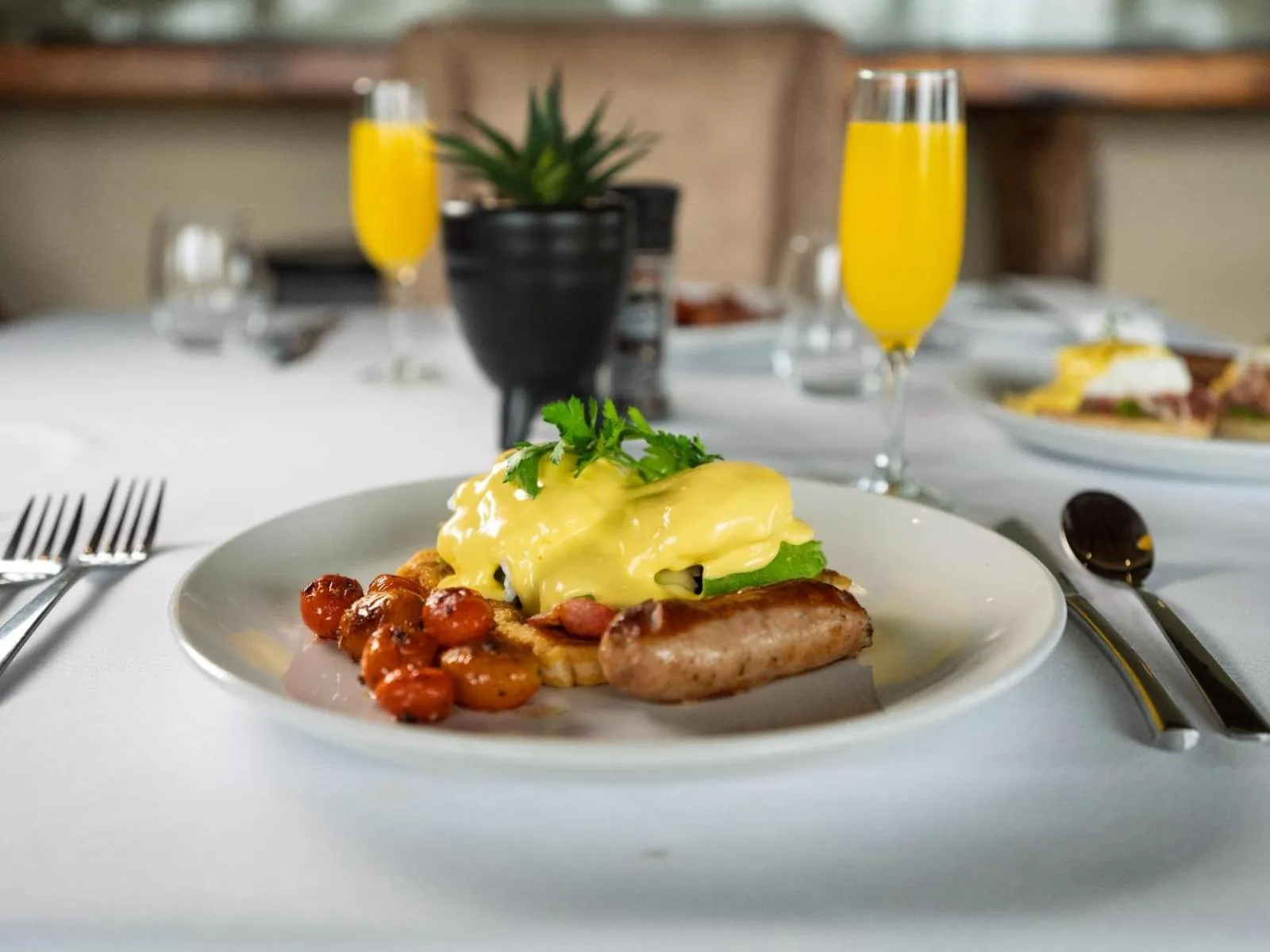 Dining area in Shekinah Lion & Game Lodge