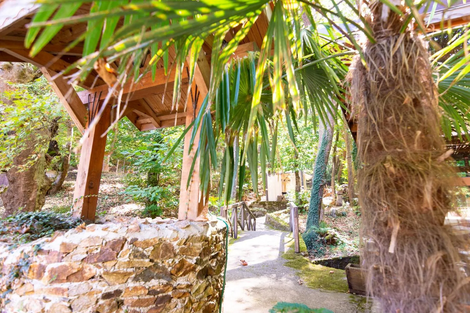 Nearby landmark in Hotel Saint Nedelya