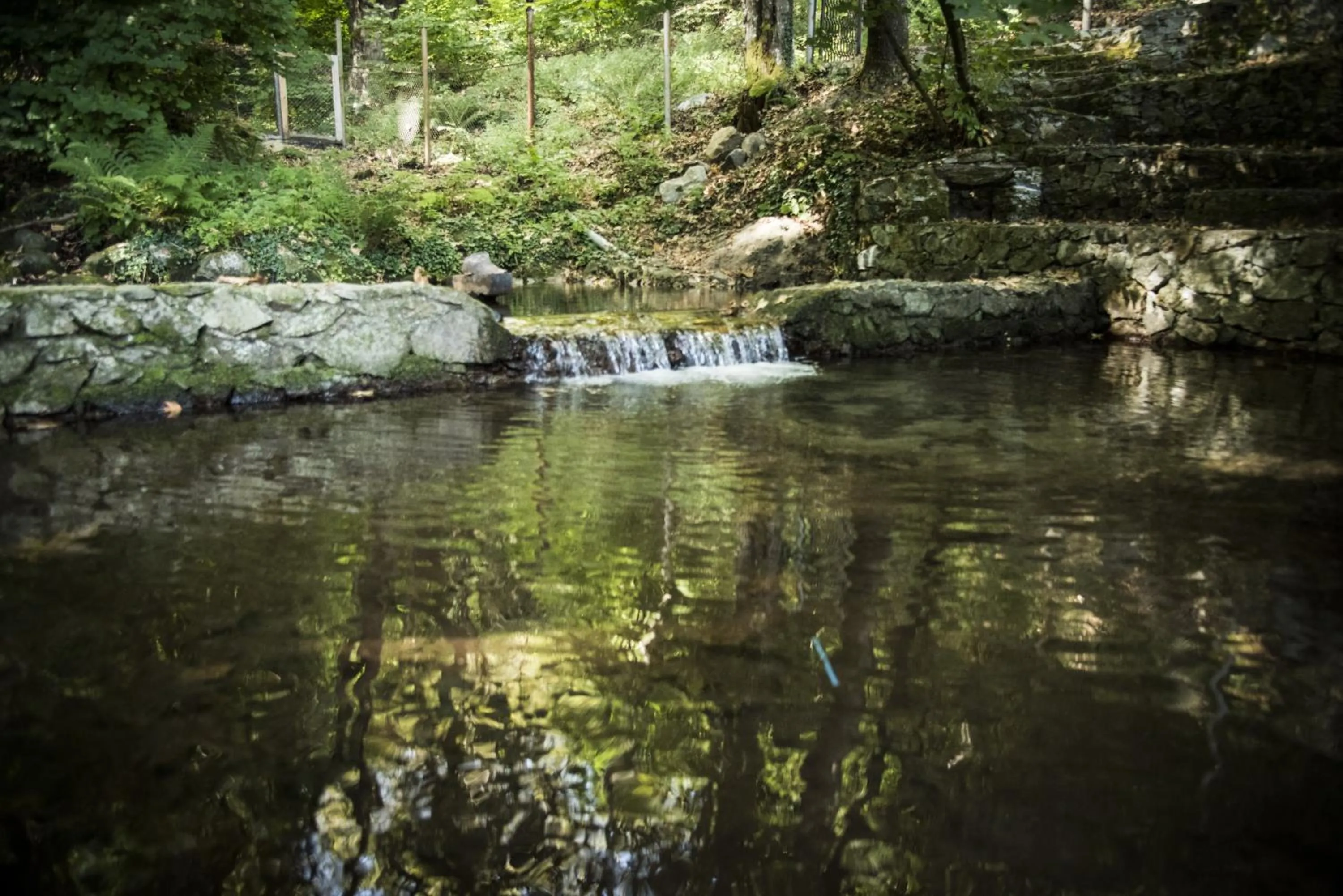 BBQ facilities in Hotel Saint Nedelya