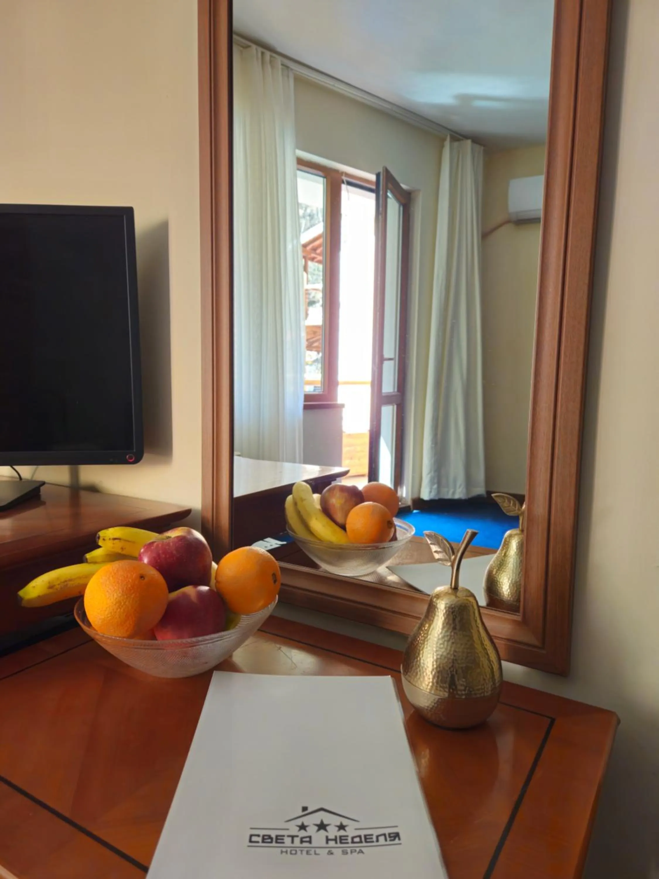 TV and multimedia in Hotel Saint Nedelya