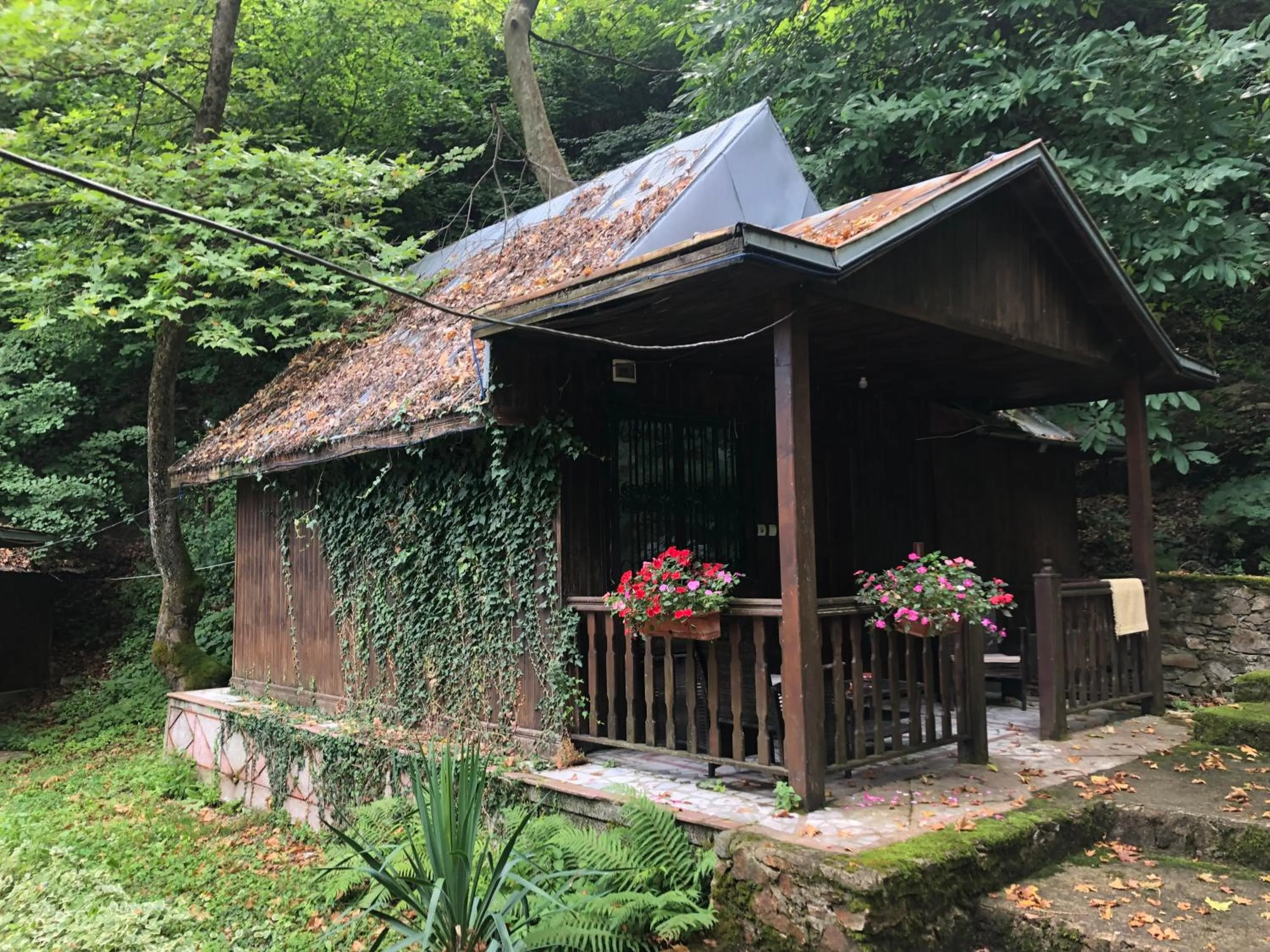 Natural landscape in Hotel Saint Nedelya