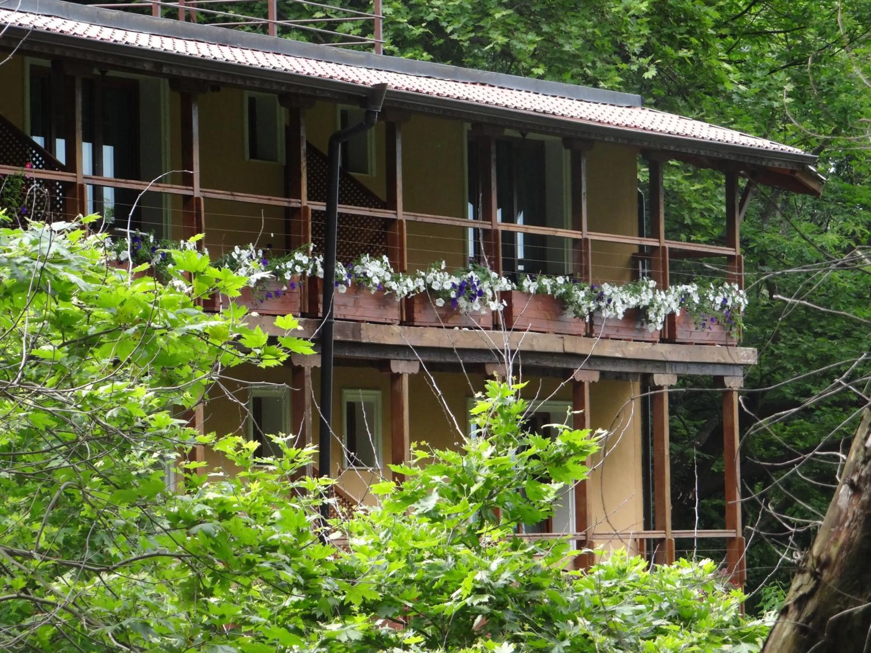 Patio in Hotel Saint Nedelya