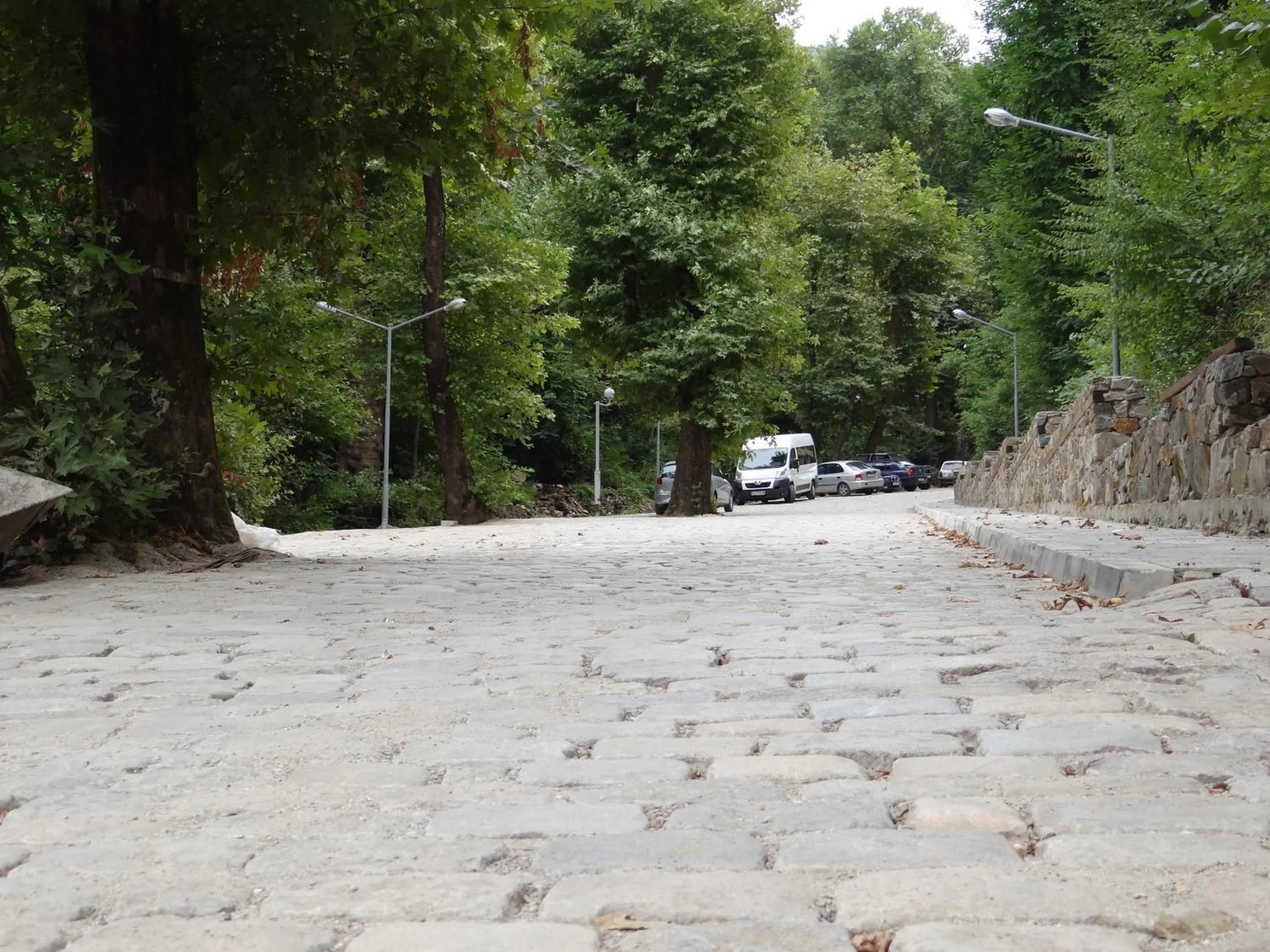 Natural landscape in Hotel Saint Nedelya