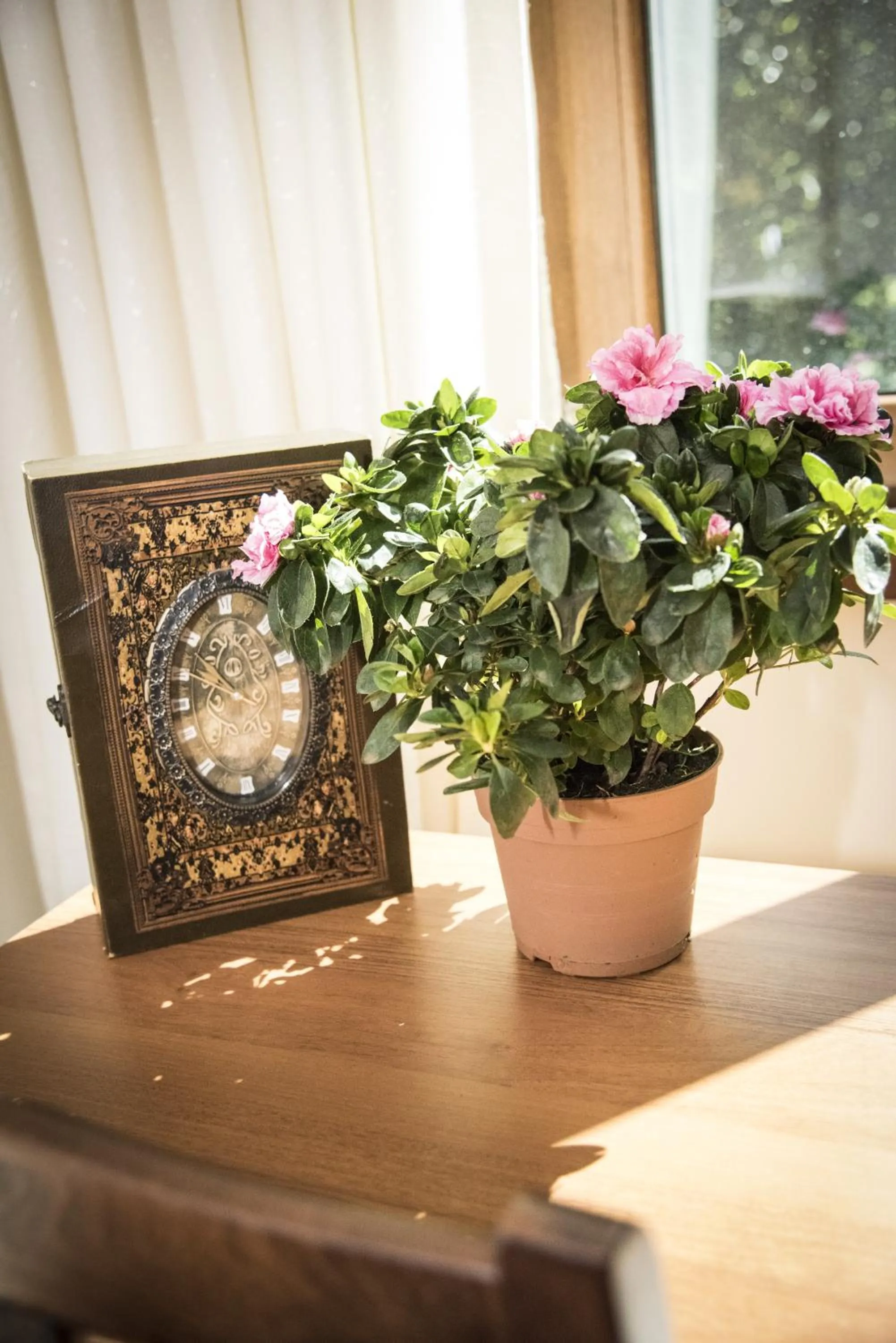Bedroom in Hotel Saint Nedelya