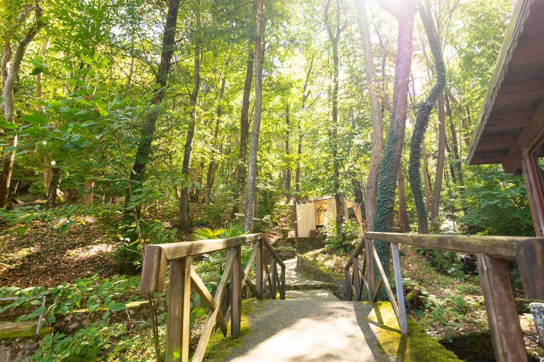 Nearby landmark in Hotel Saint Nedelya