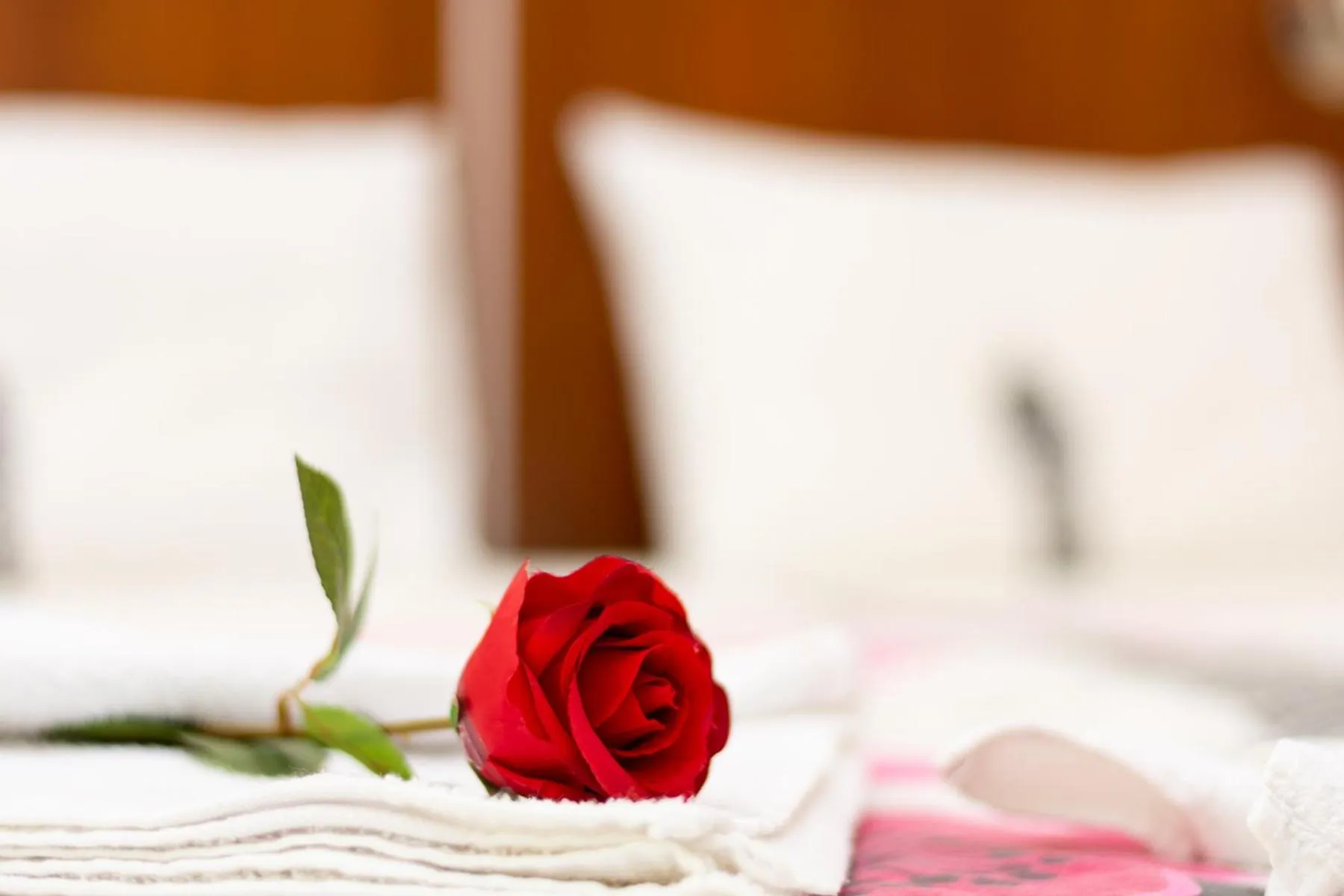 Garden, Bed in Hotel Saint Nedelya