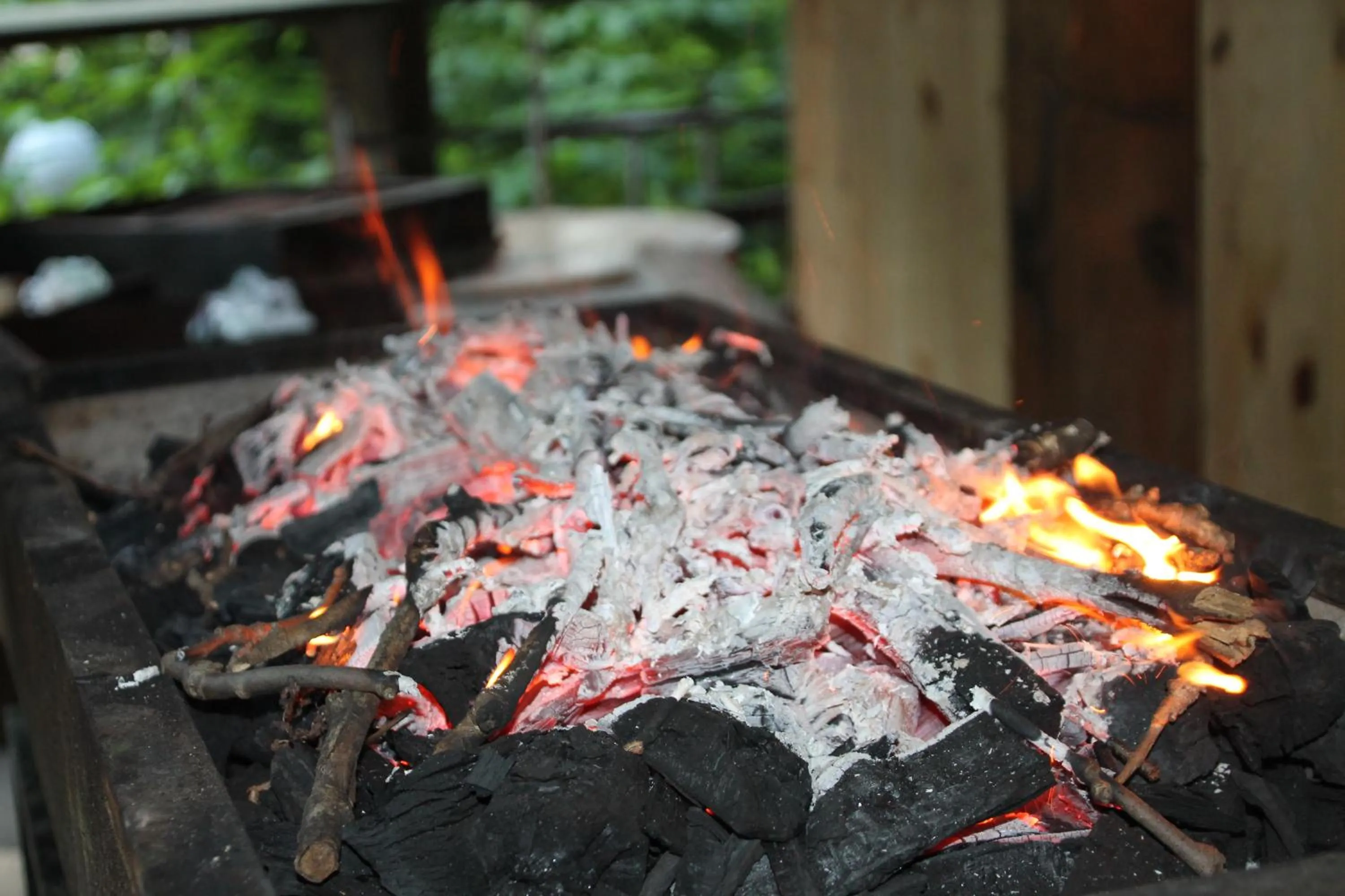 Restaurant/places to eat in Hotel Saint Nedelya