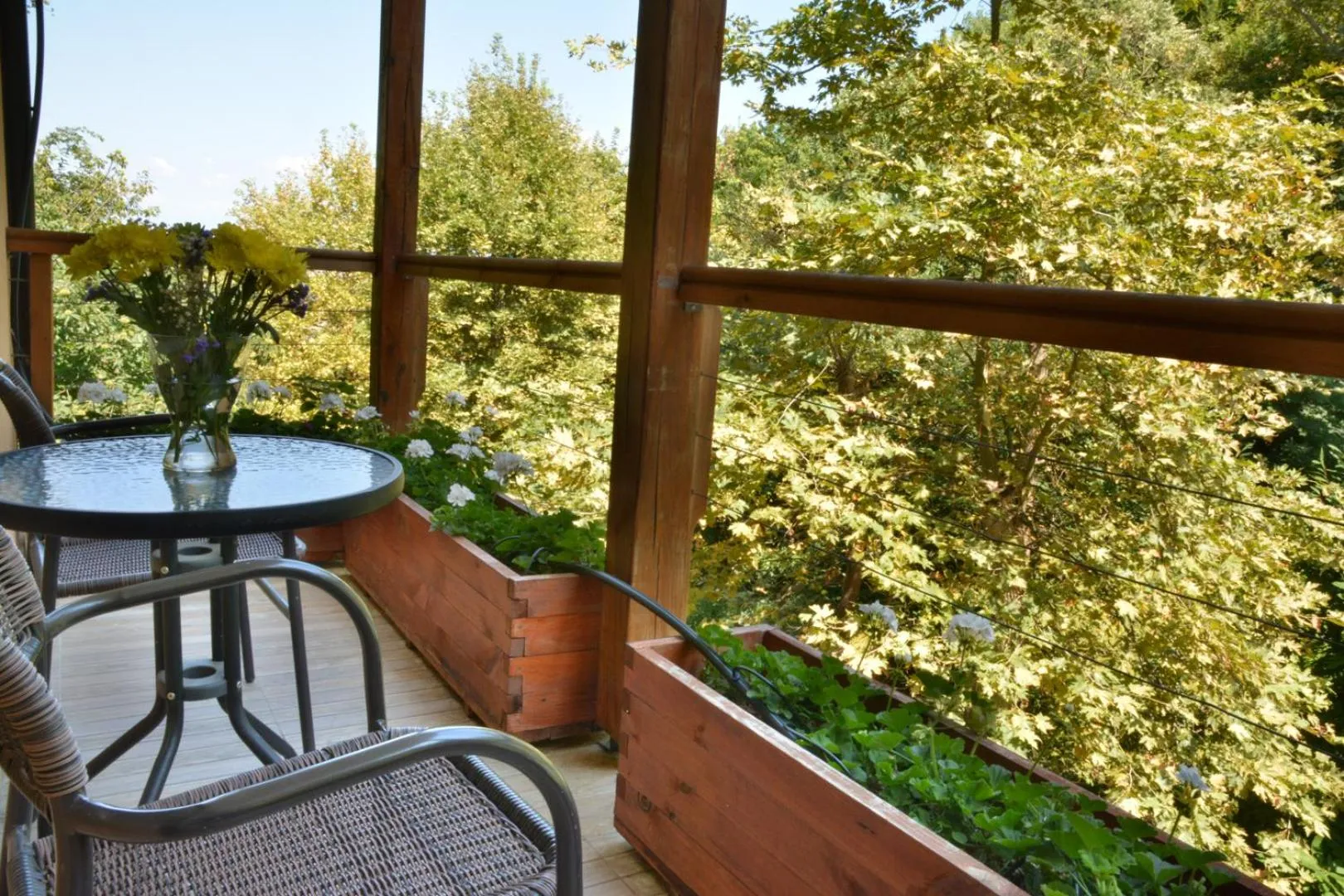 View (from property/room) in Hotel Saint Nedelya