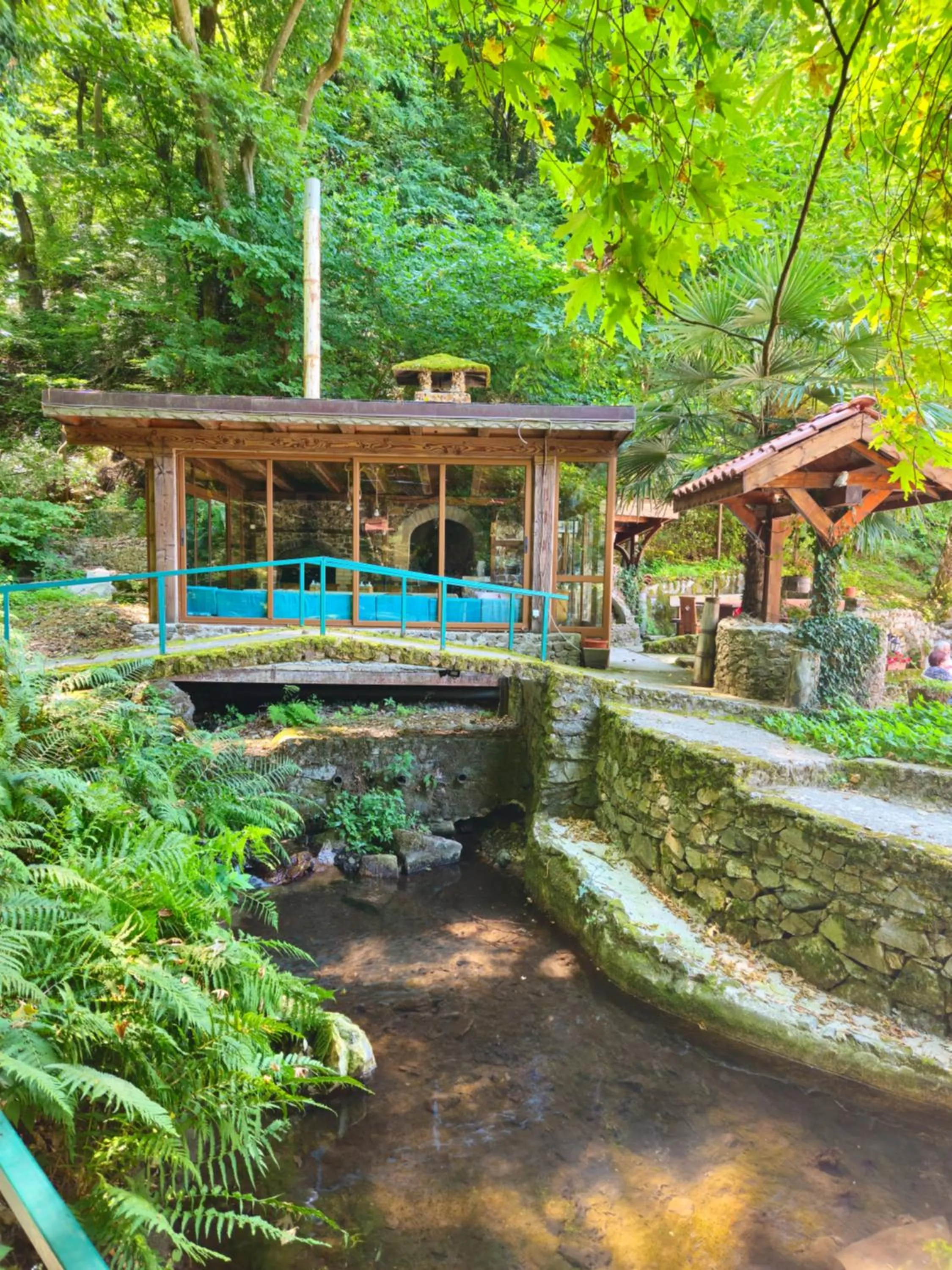 Day in Hotel Saint Nedelya