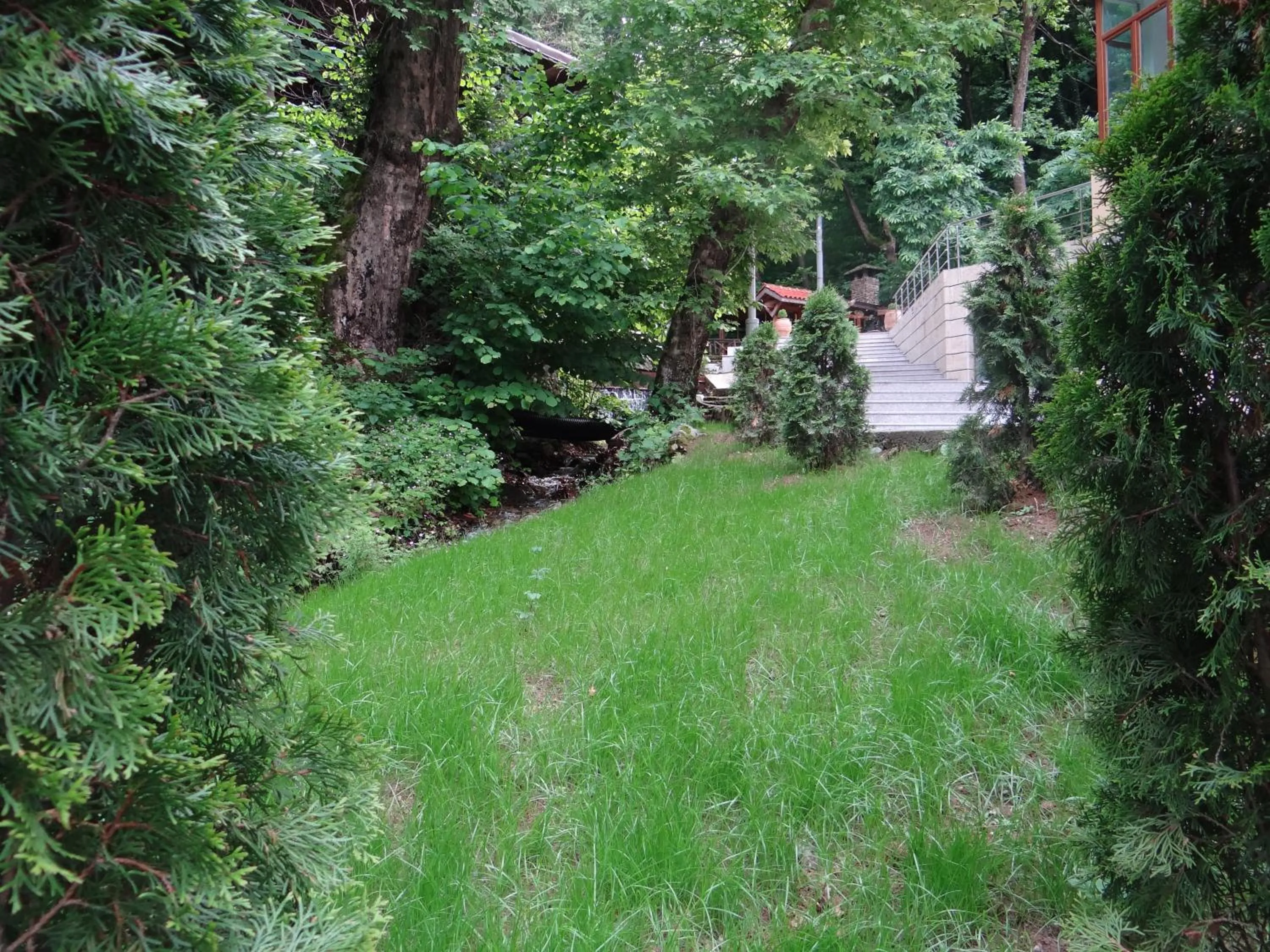 Patio in Hotel Saint Nedelya