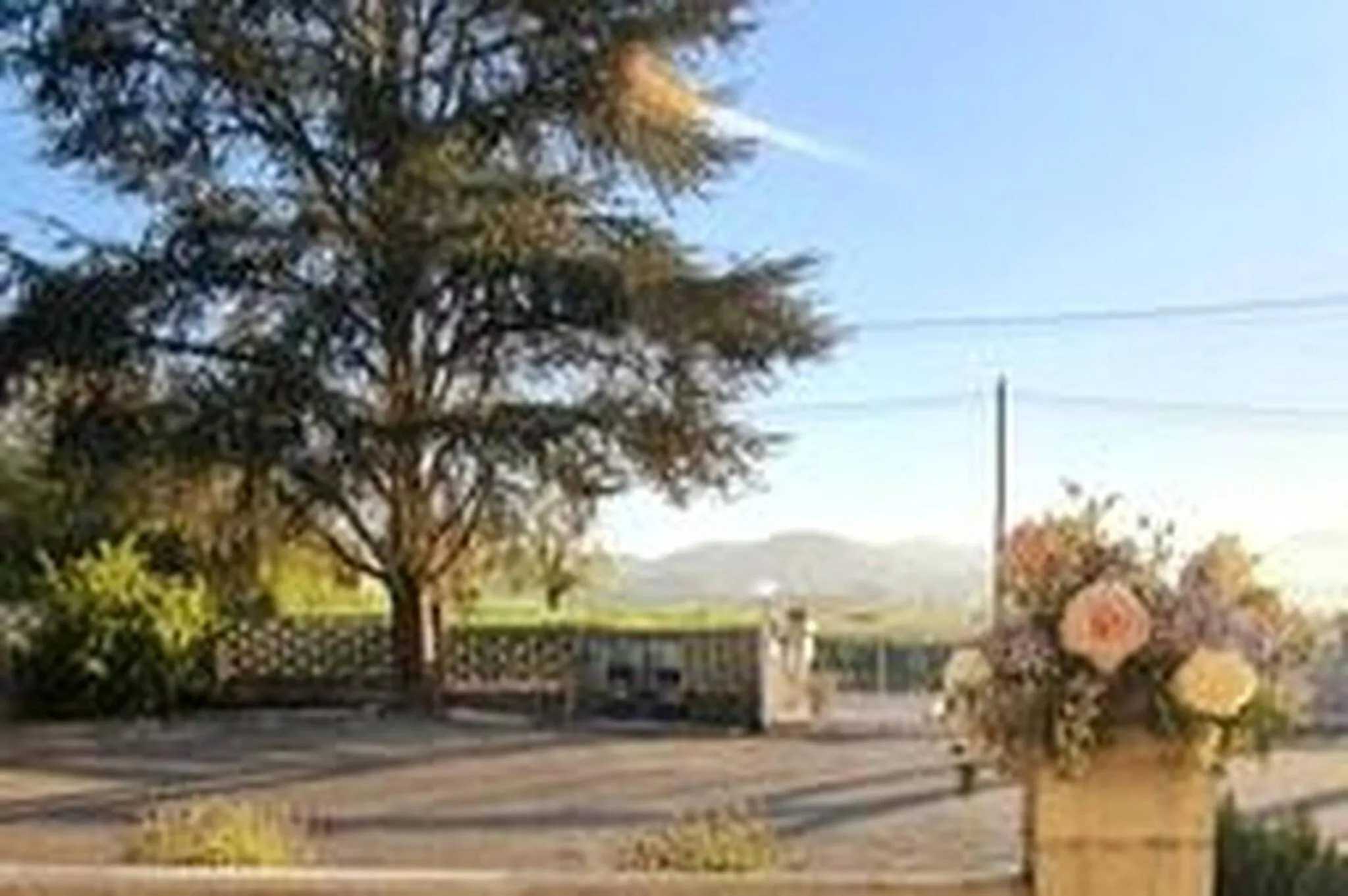 Nido Tra Le Stelle E Il Blu