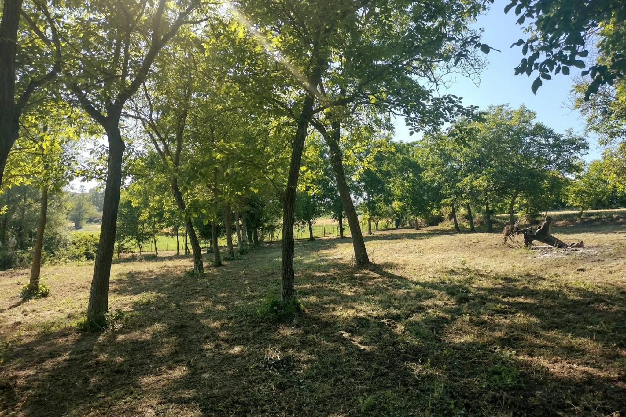 Natural landscape in Nido Tra Le Stelle E Il Blu