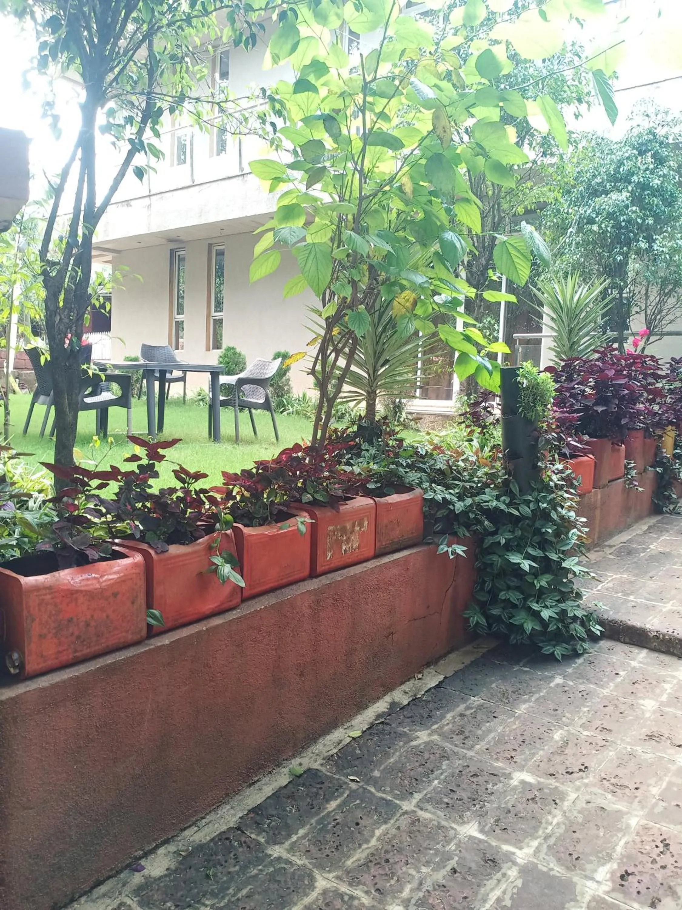 Spring in Hotel Oakwood mahabaleshwar