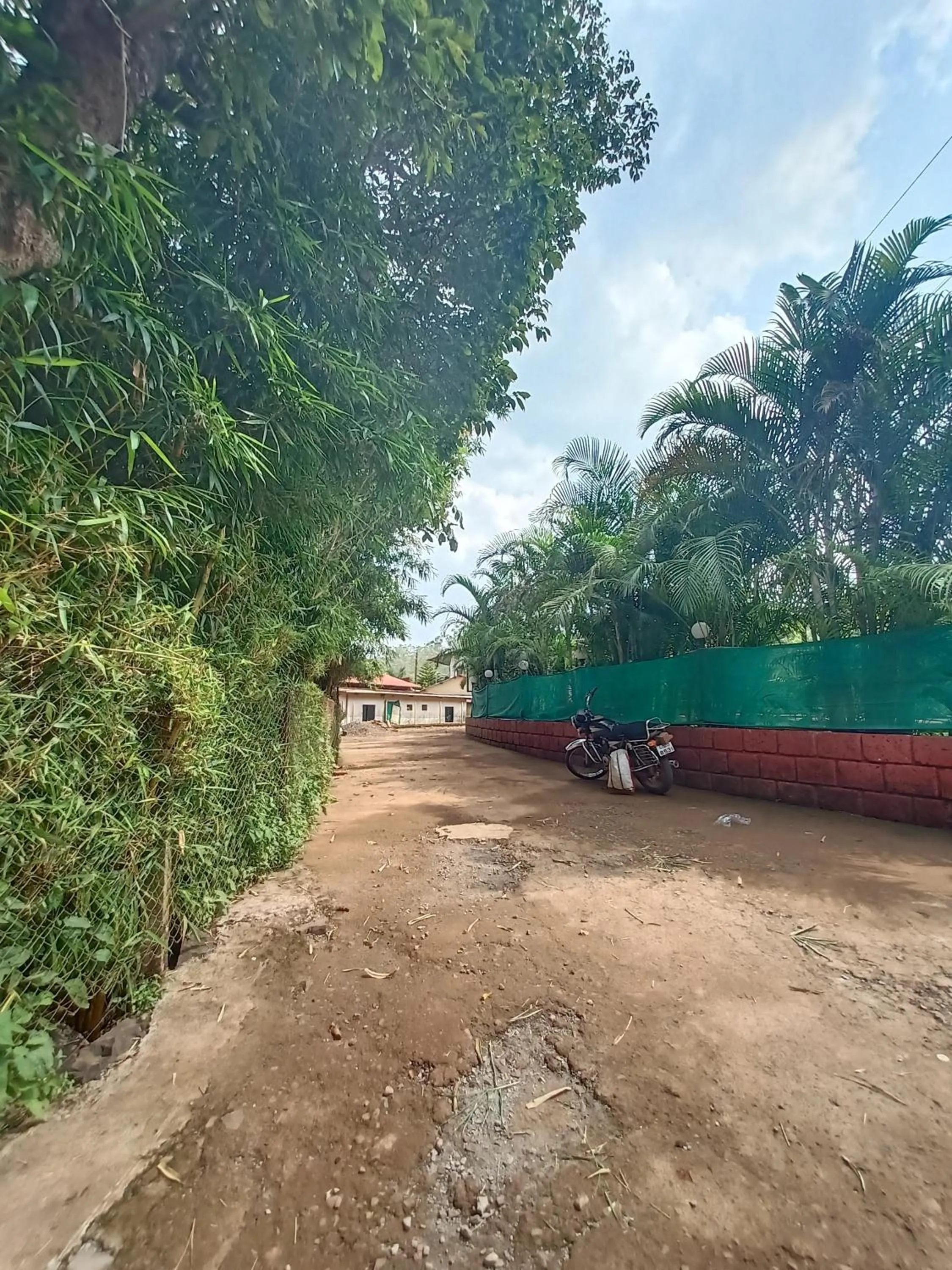 Spring in Hotel Oakwood mahabaleshwar