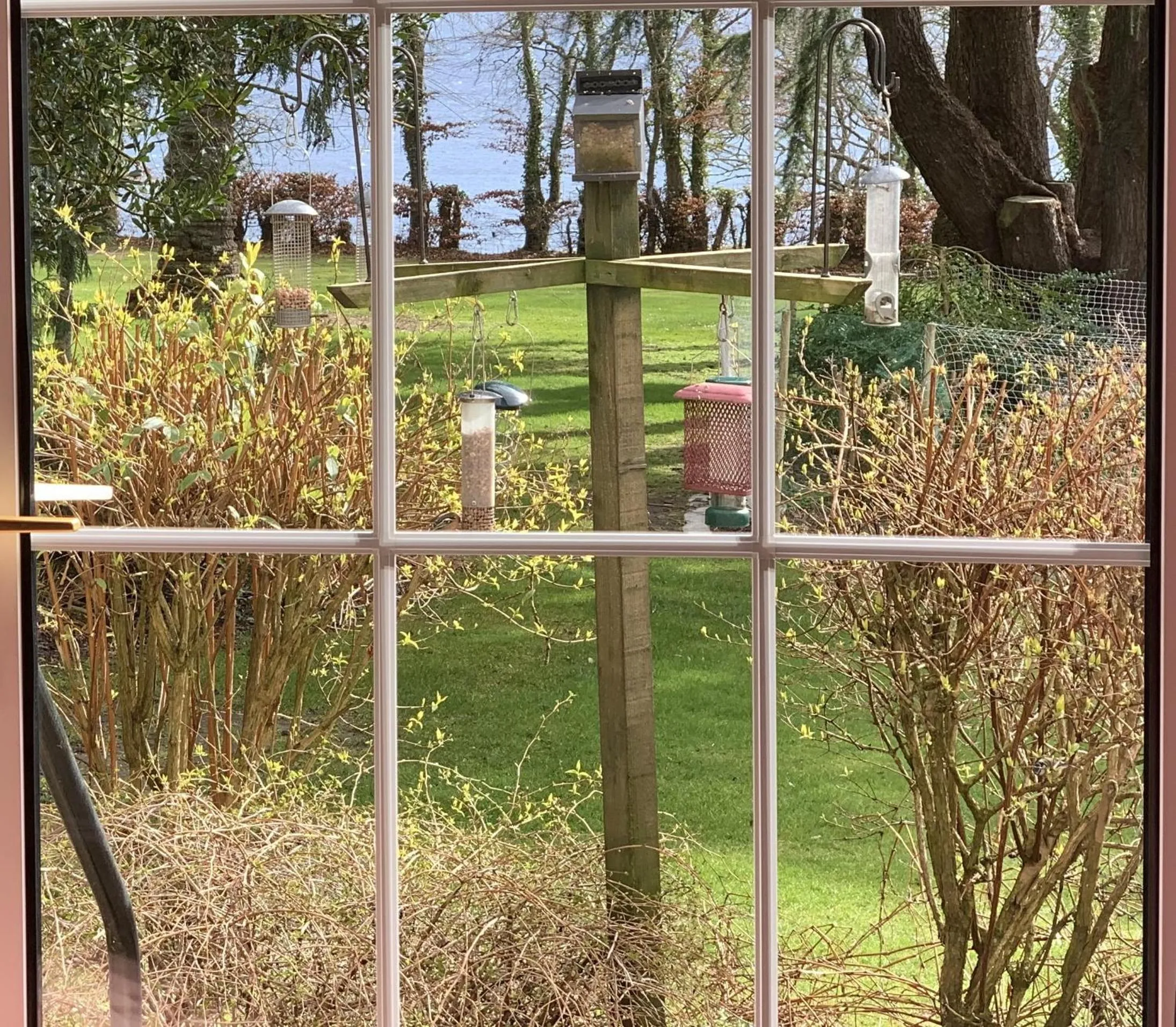 Other in Old Drynie House,