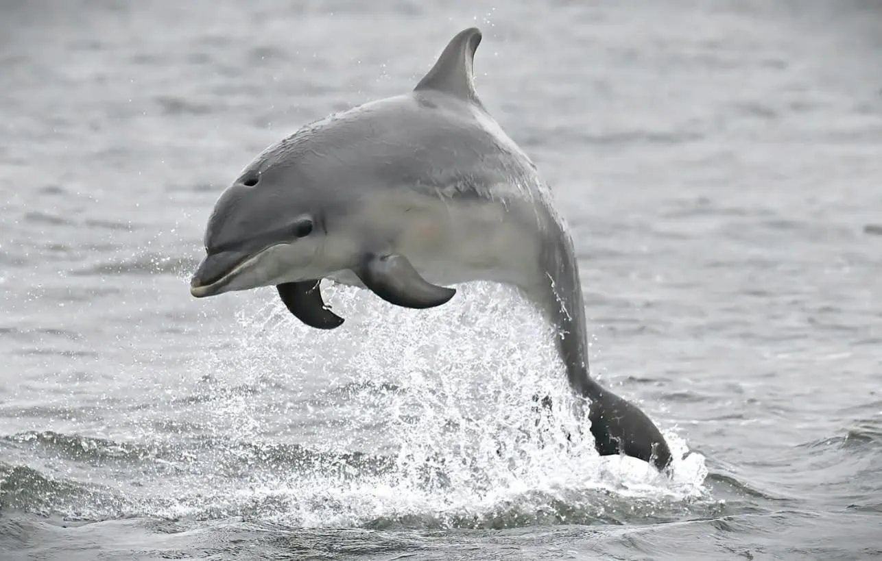 Activities in Broomlea