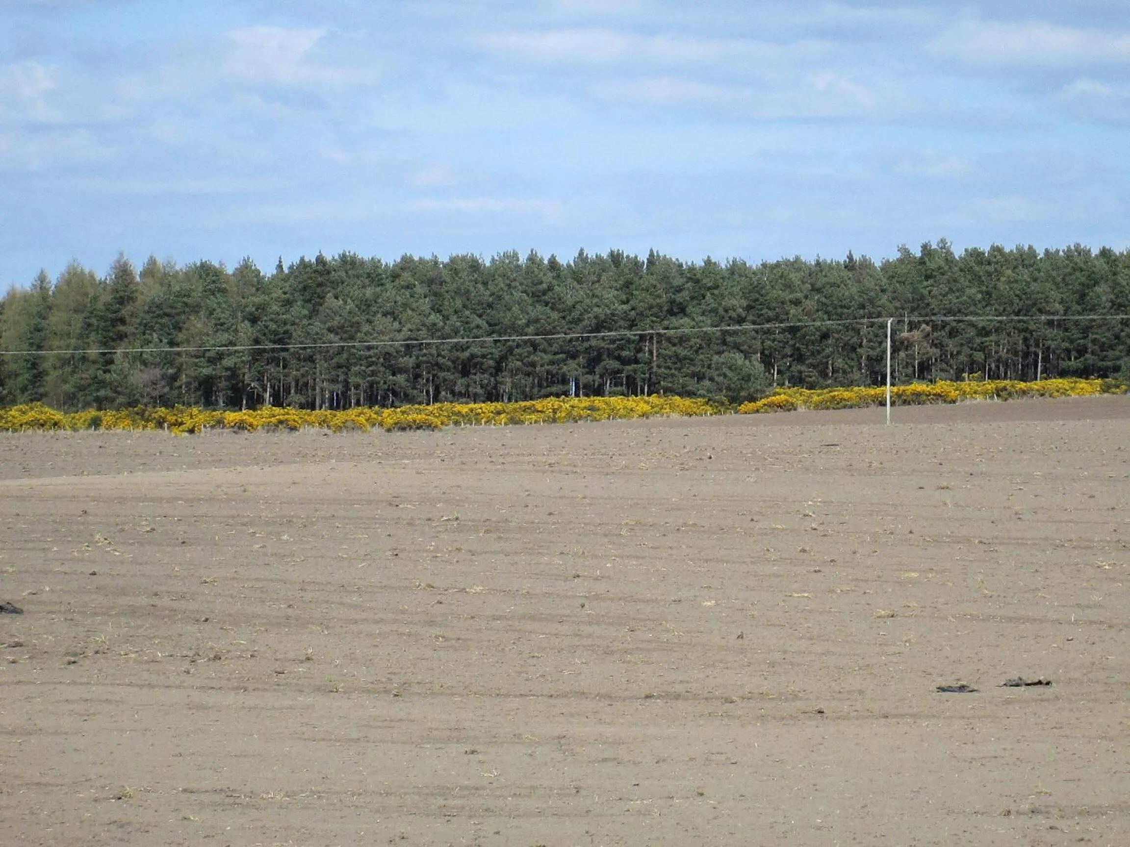 Property building in Broomlea