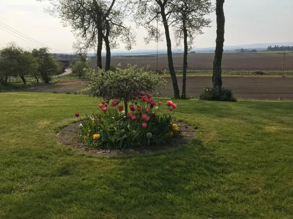 Property building in Broomlea