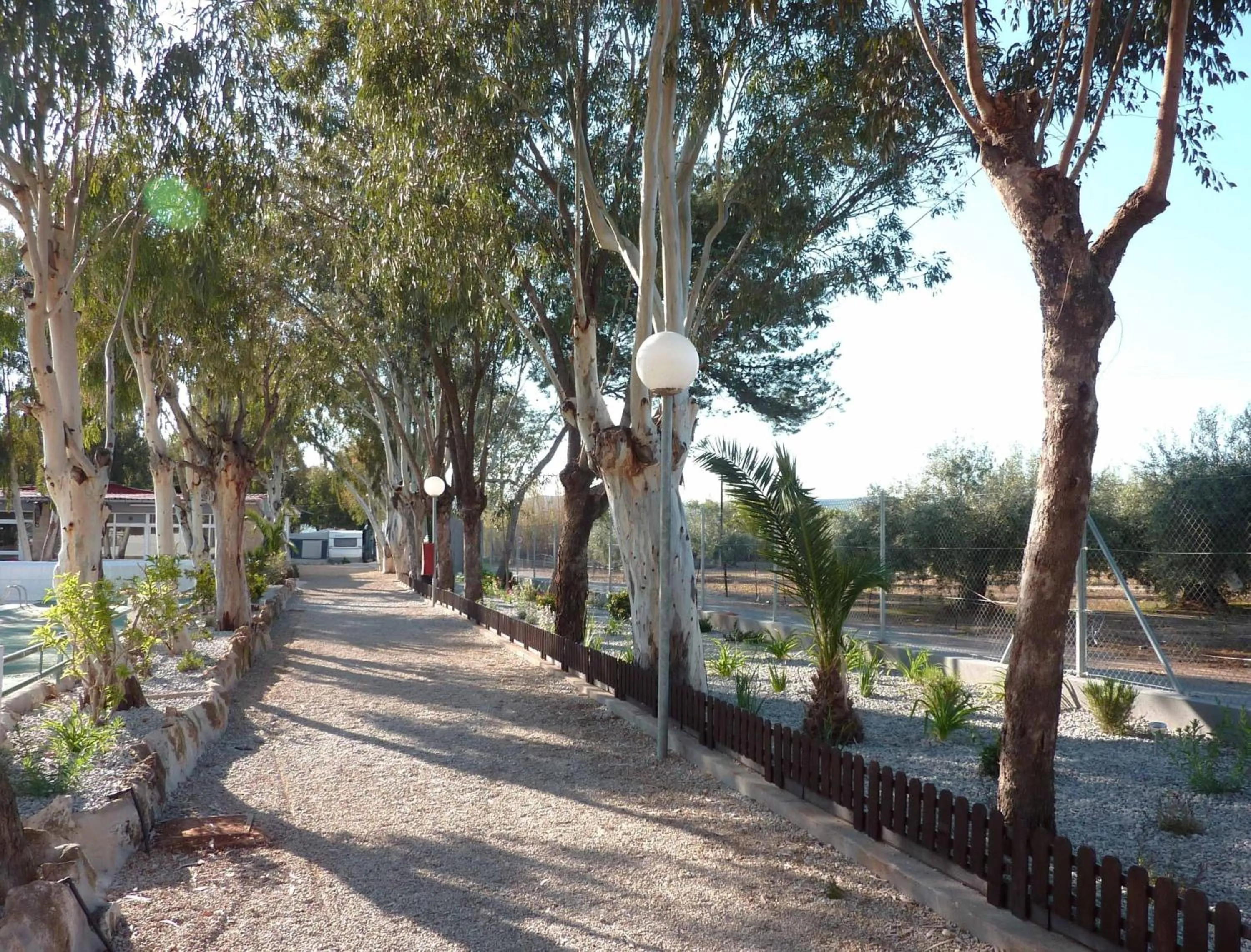 Decorative detail in Camping Torrenostra