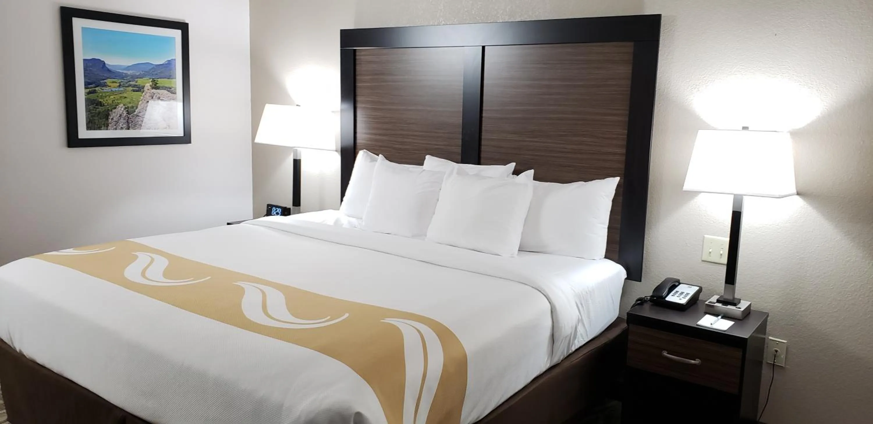 Bed in Quality Inn & Suites