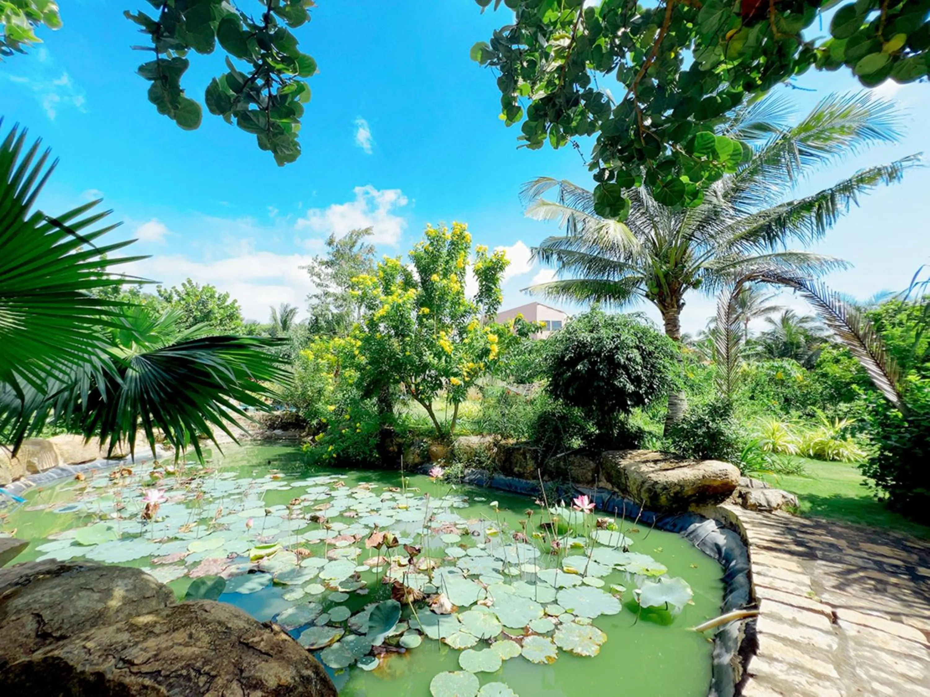 Natural landscape in Me bungalow beach resort