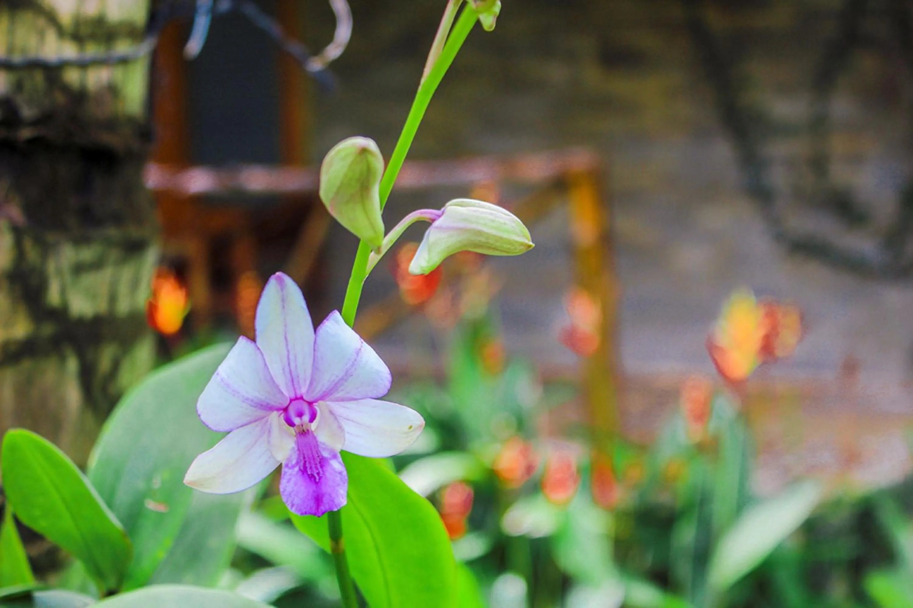 Patio in Me bungalow beach resort