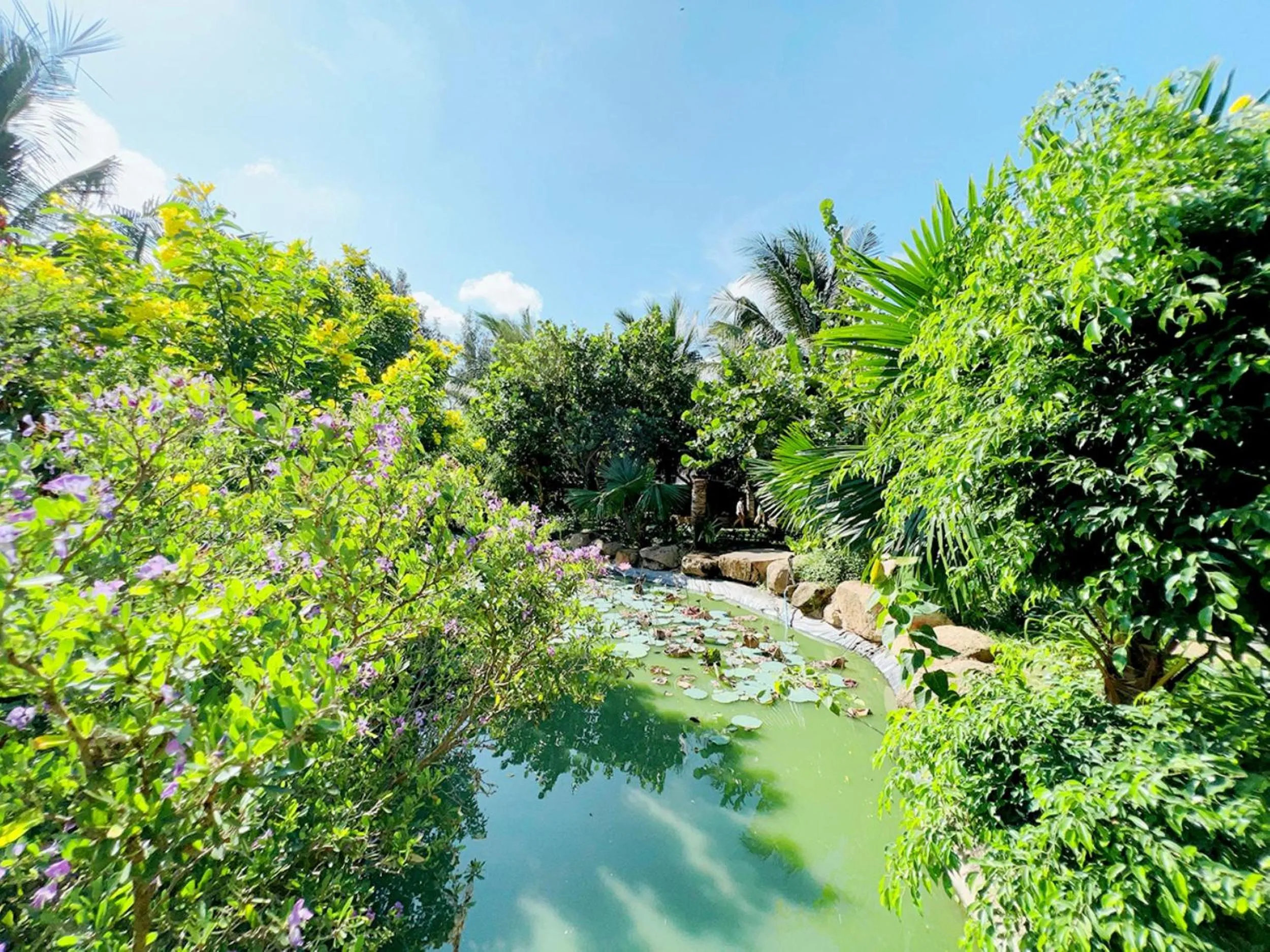 Neighbourhood in Me bungalow beach resort