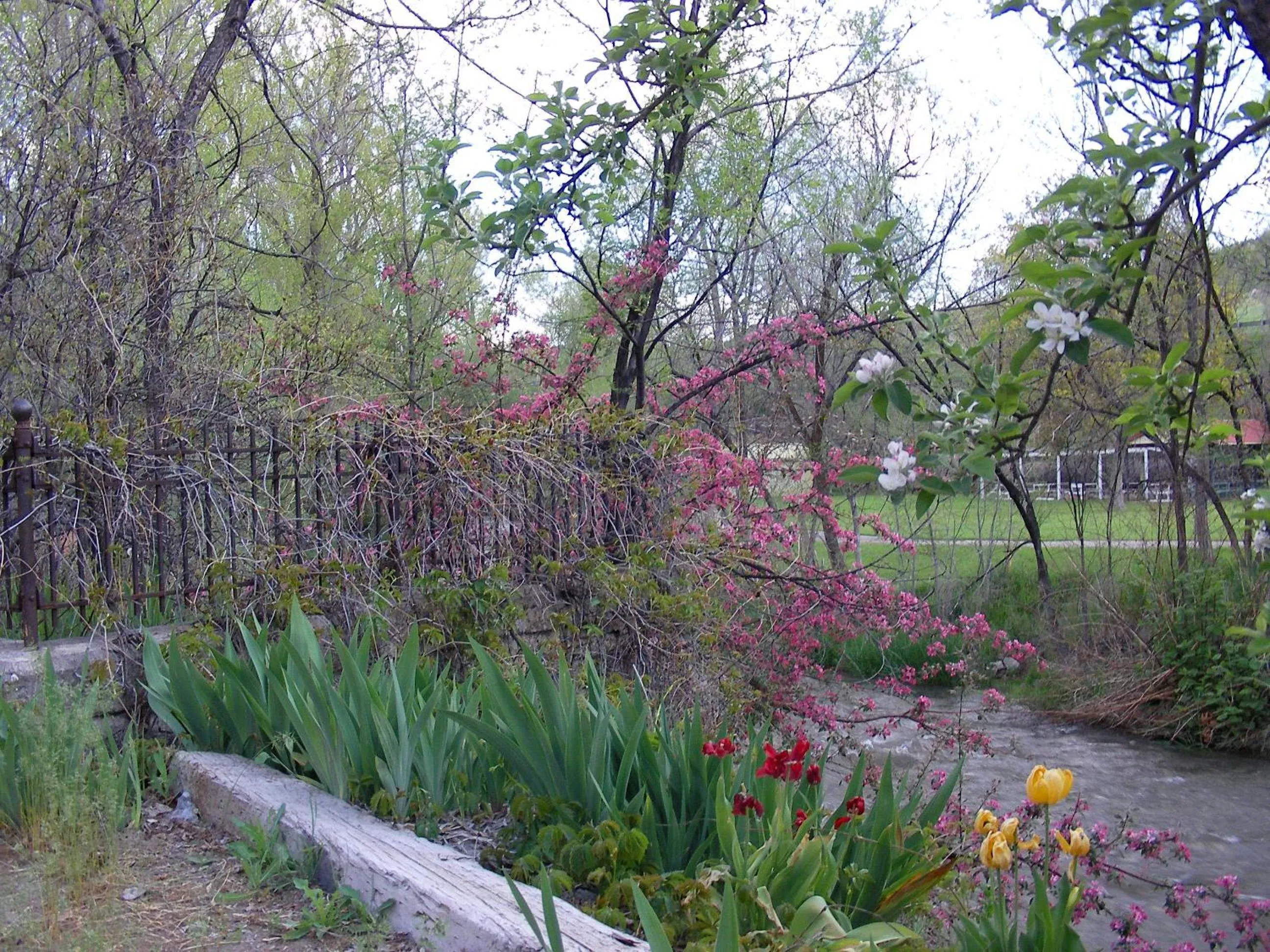 Natural landscape in Riverside Hot Springs Inn & Spa - Adults Only