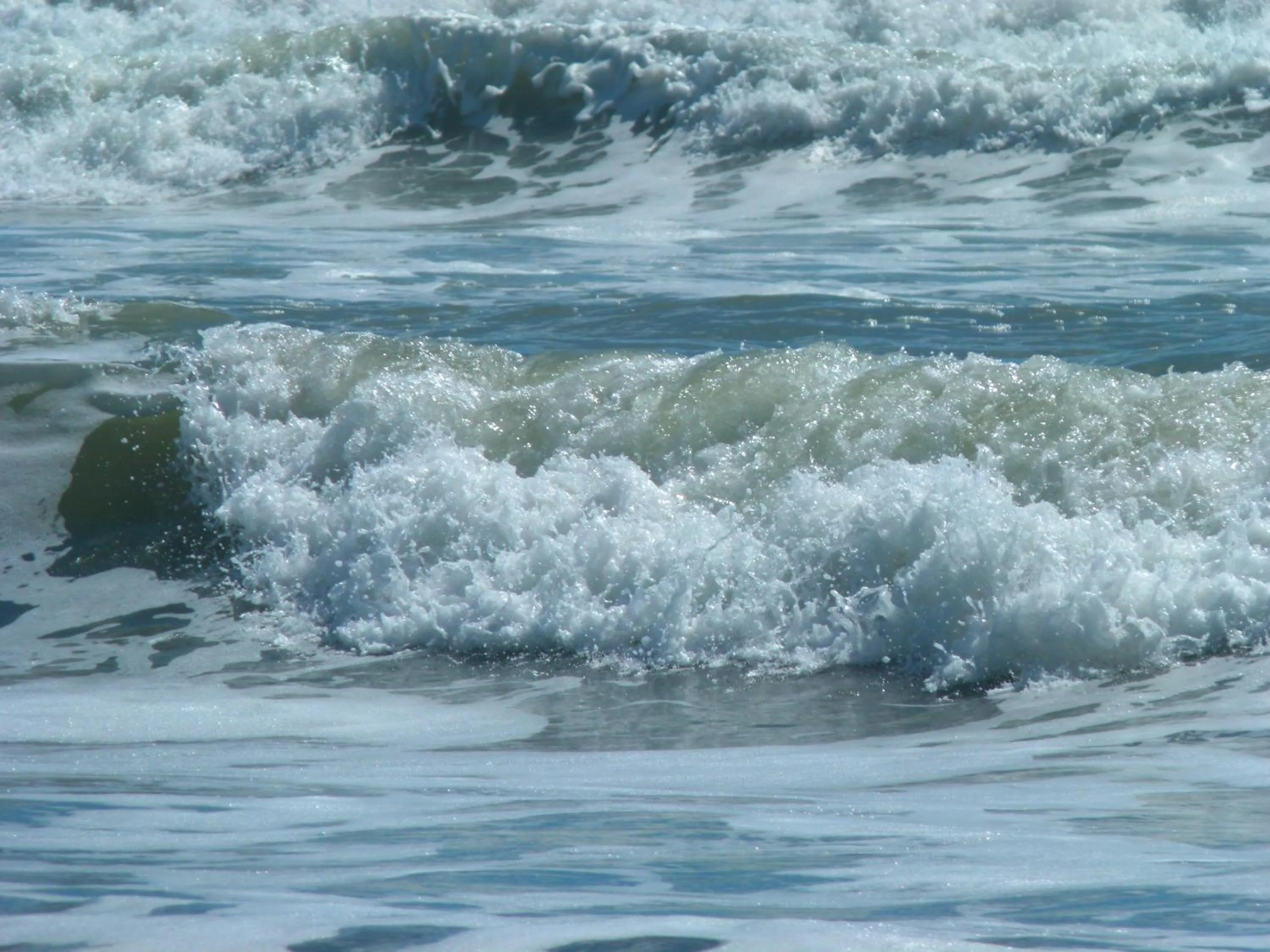 Beach in BeachView Motel