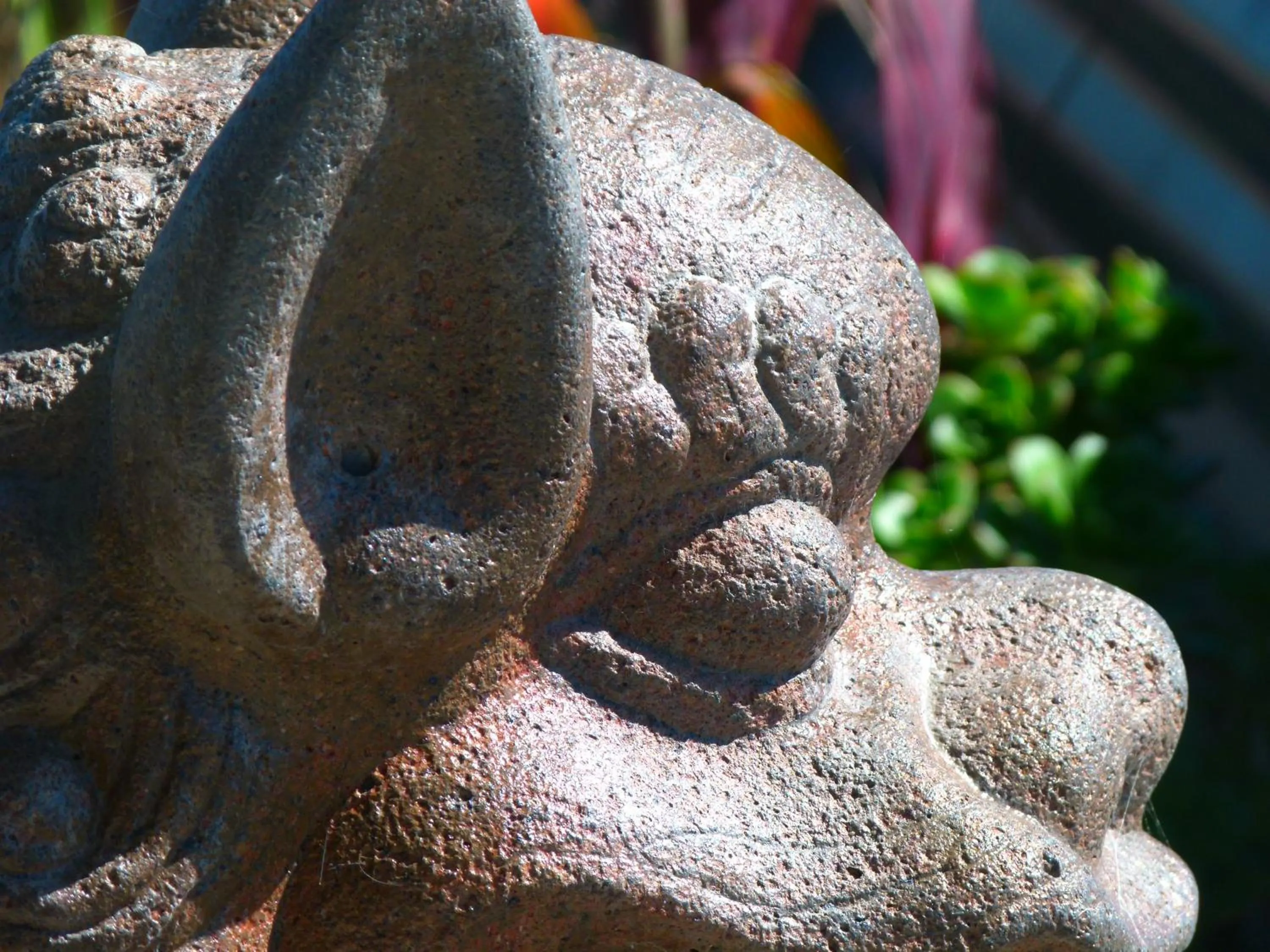 Garden in BeachView Motel