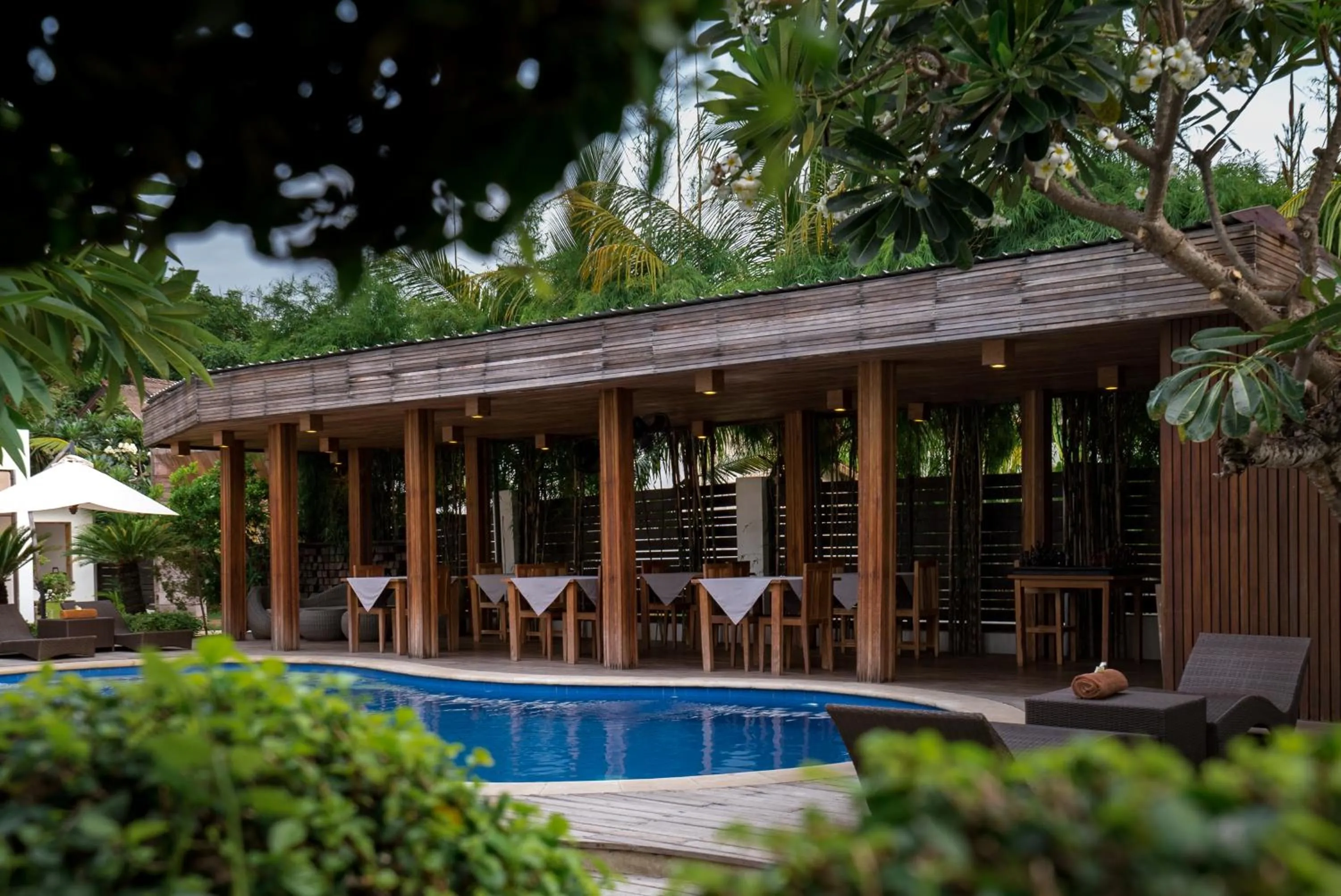 Pool view in Villa Nero
