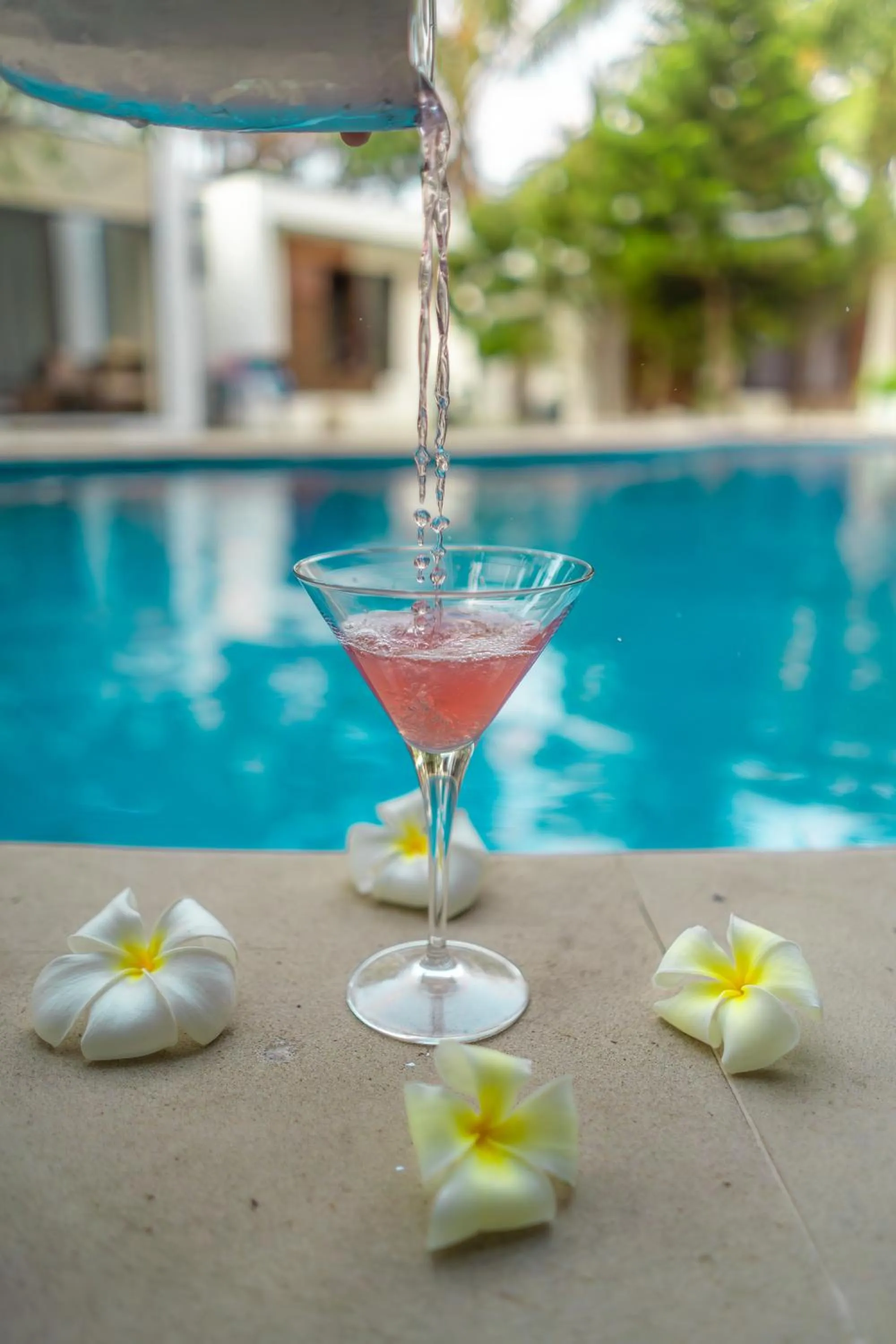 Drinks in Villa Nero