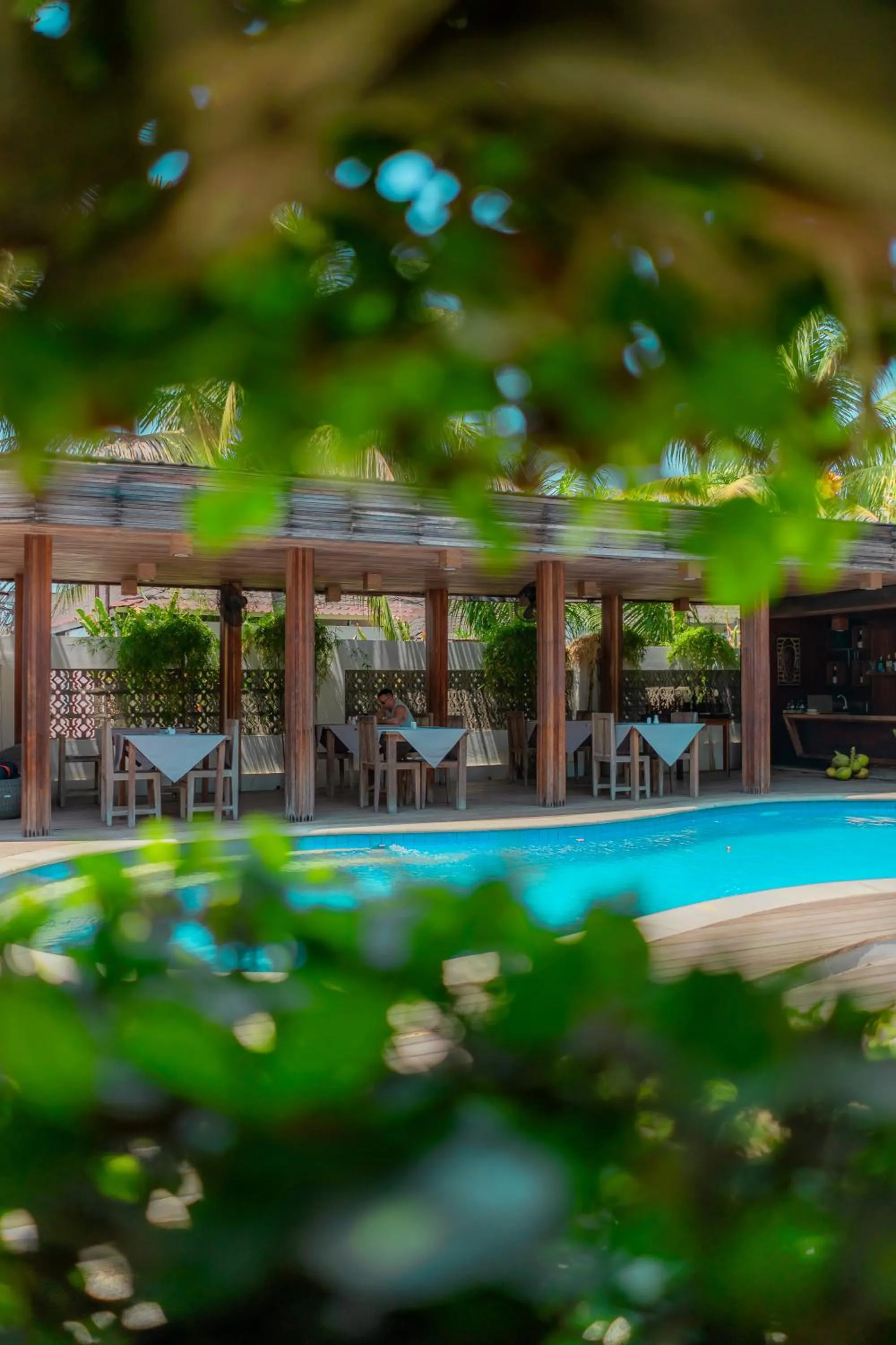 Pool view in Villa Nero
