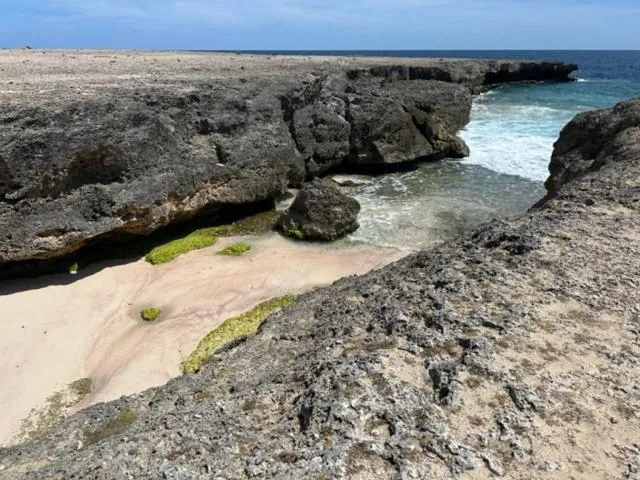 Beach in The Lodge Bonaire