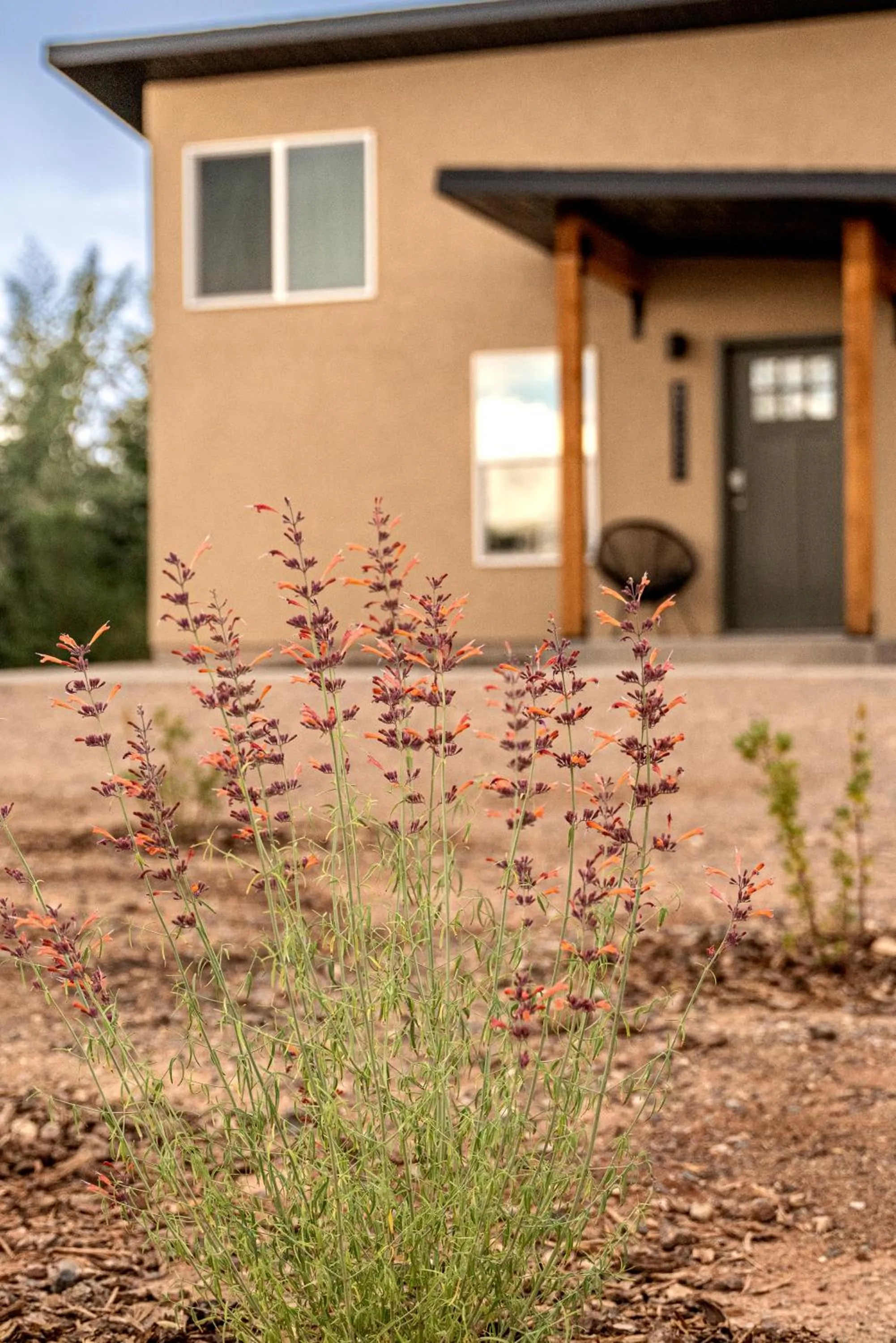 Casitas at Capitol Reef
