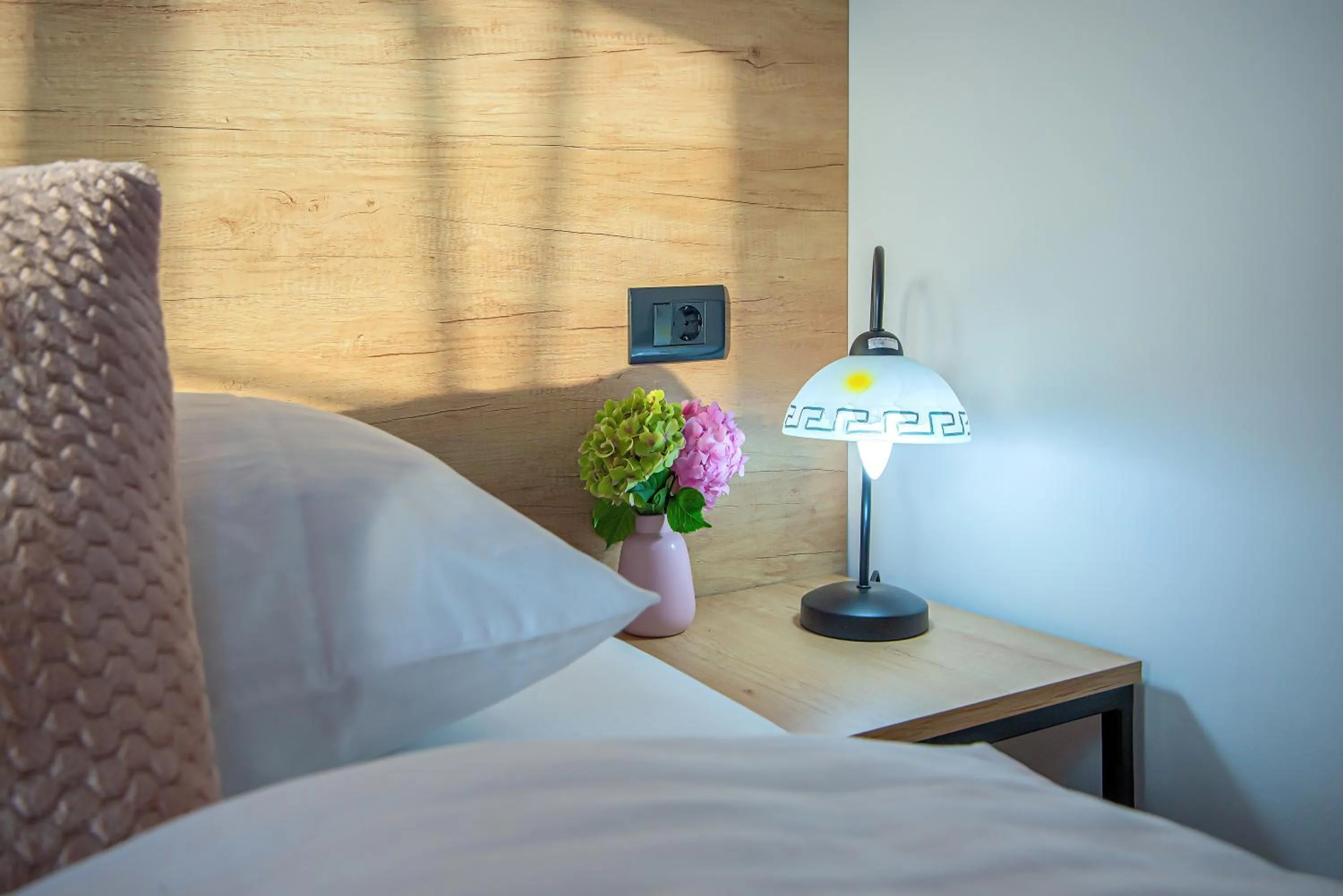 Apartment & rooms Vila Toplissa