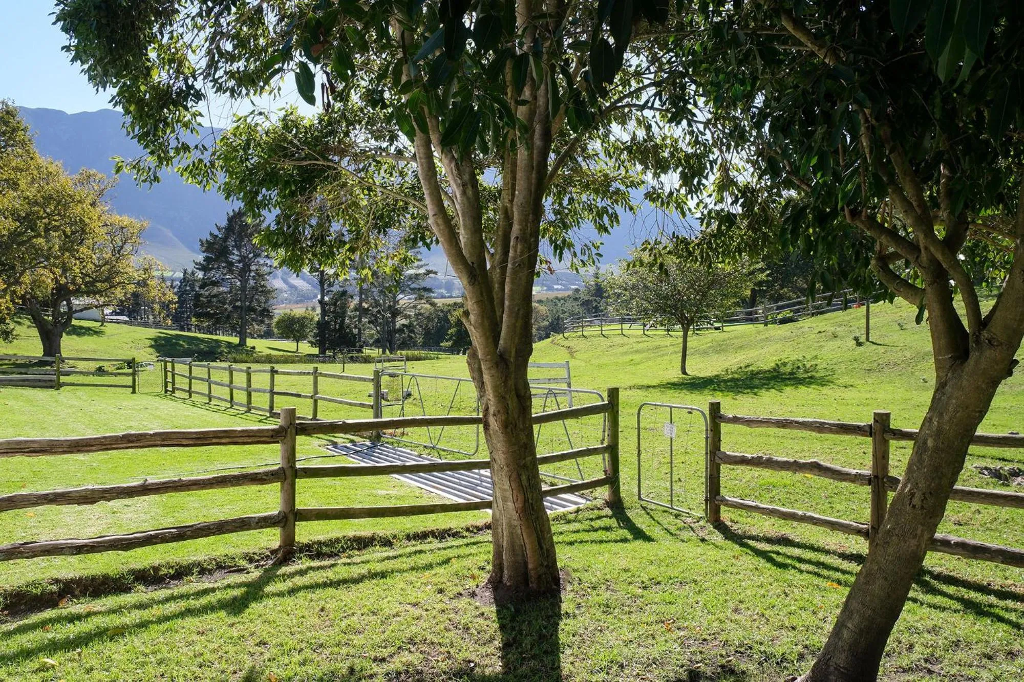 Garden in High Season Farm Luxury Cottages