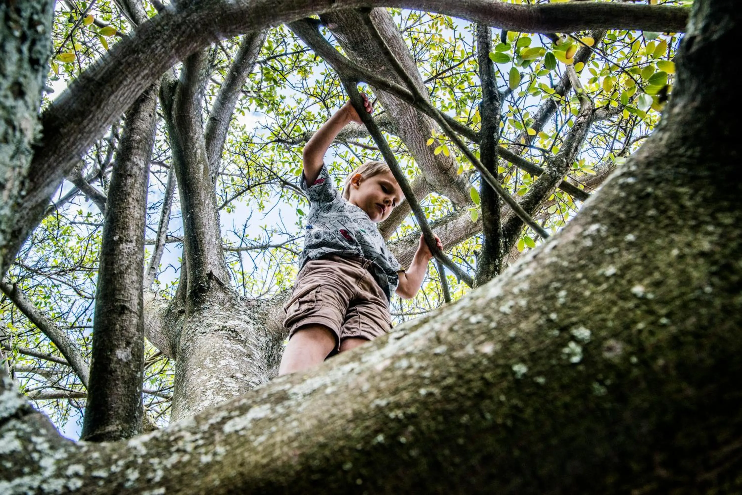 Natural landscape in High Season Farm Luxury Cottages