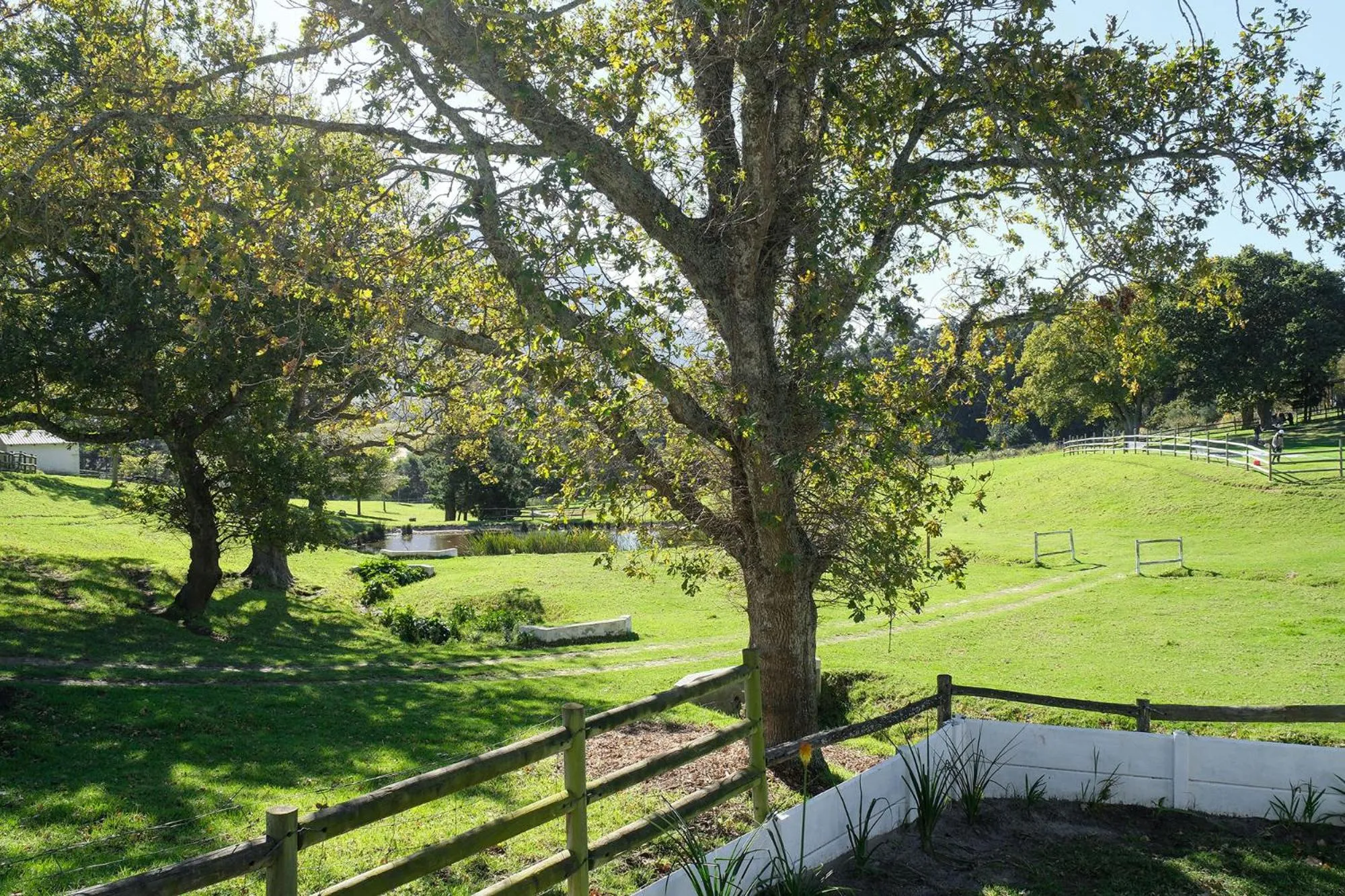 Garden view in High Season Farm Luxury Cottages