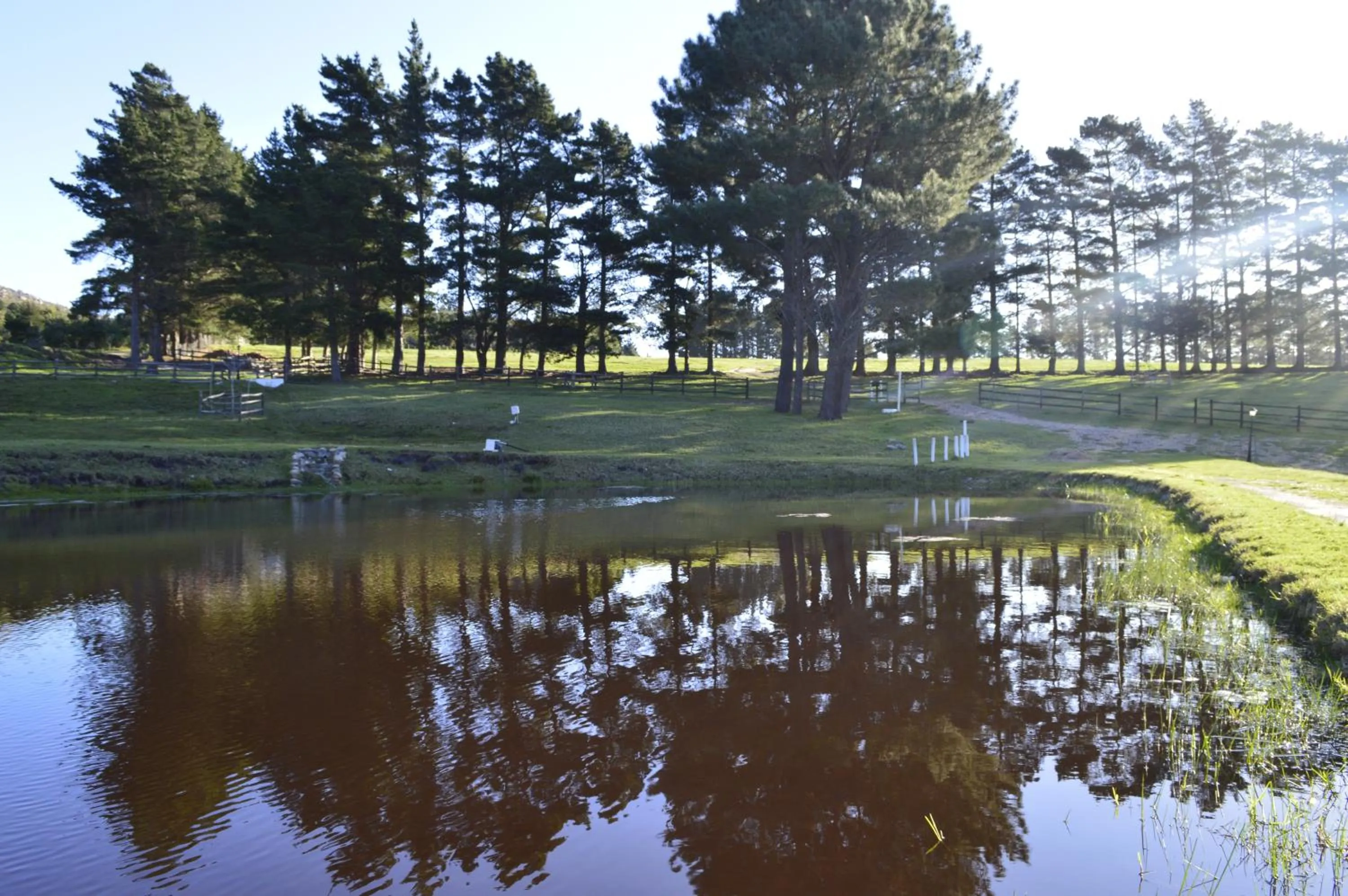 Natural landscape in High Season Farm Luxury Cottages