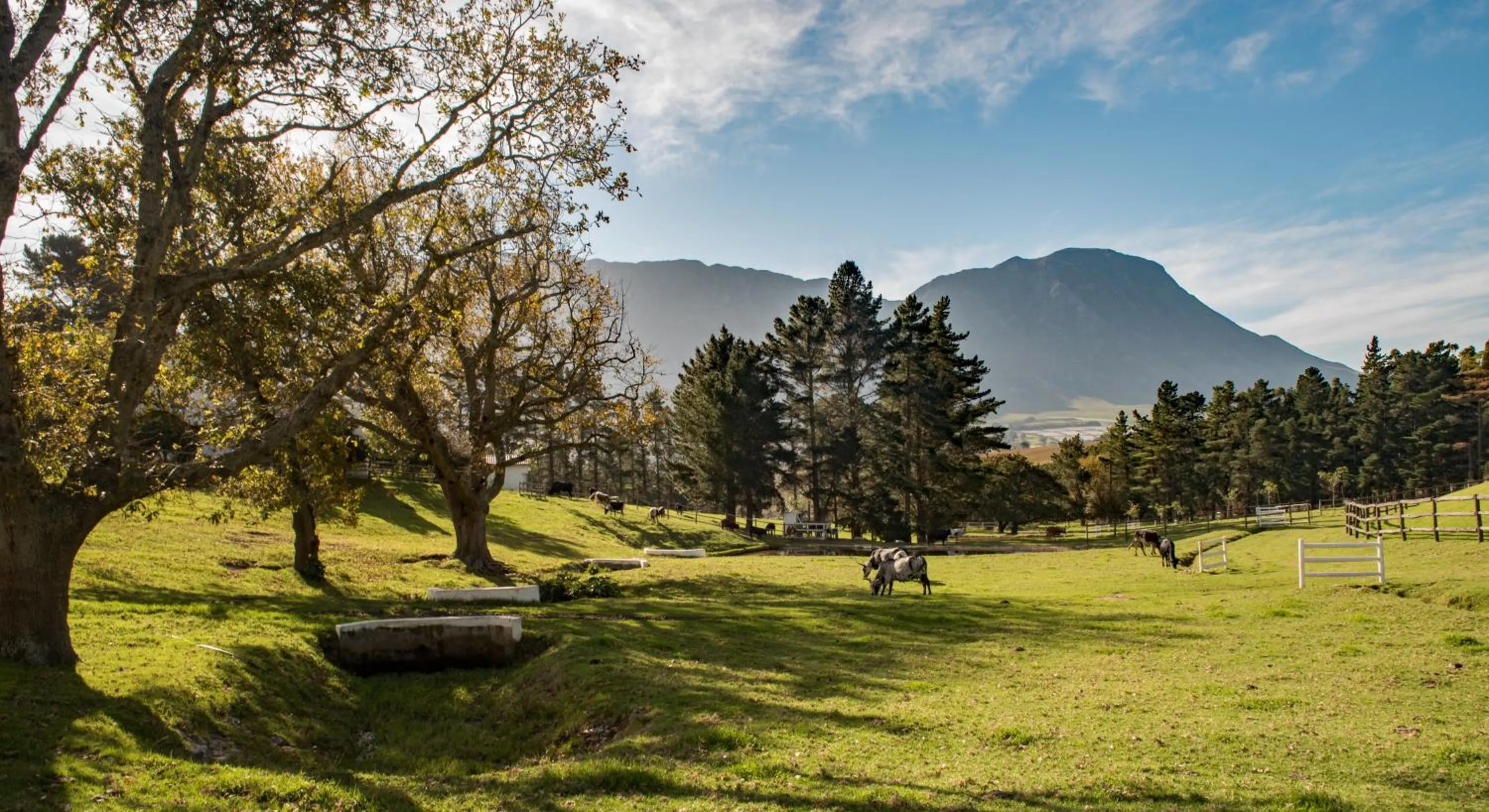Garden in High Season Farm Luxury Cottages