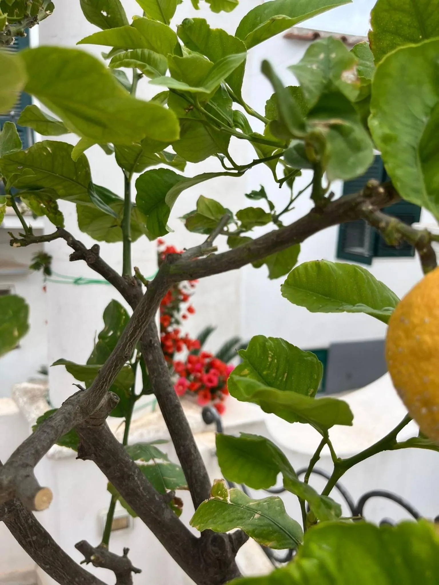 Balcony/Terrace in alle Stelle b&b