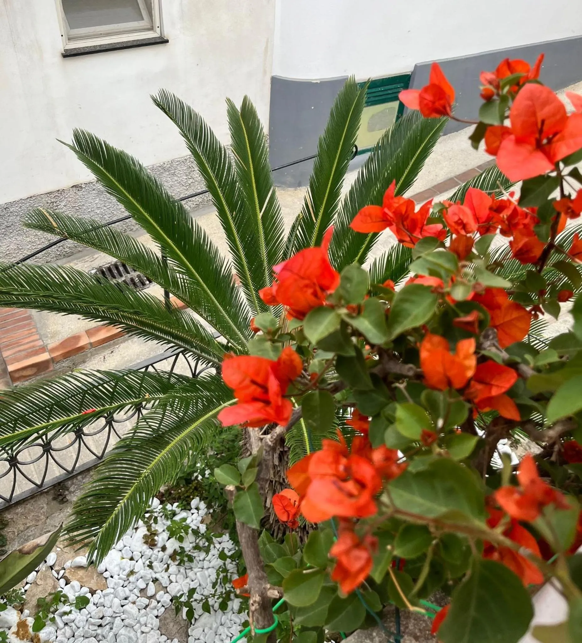 Garden in alle Stelle b&b