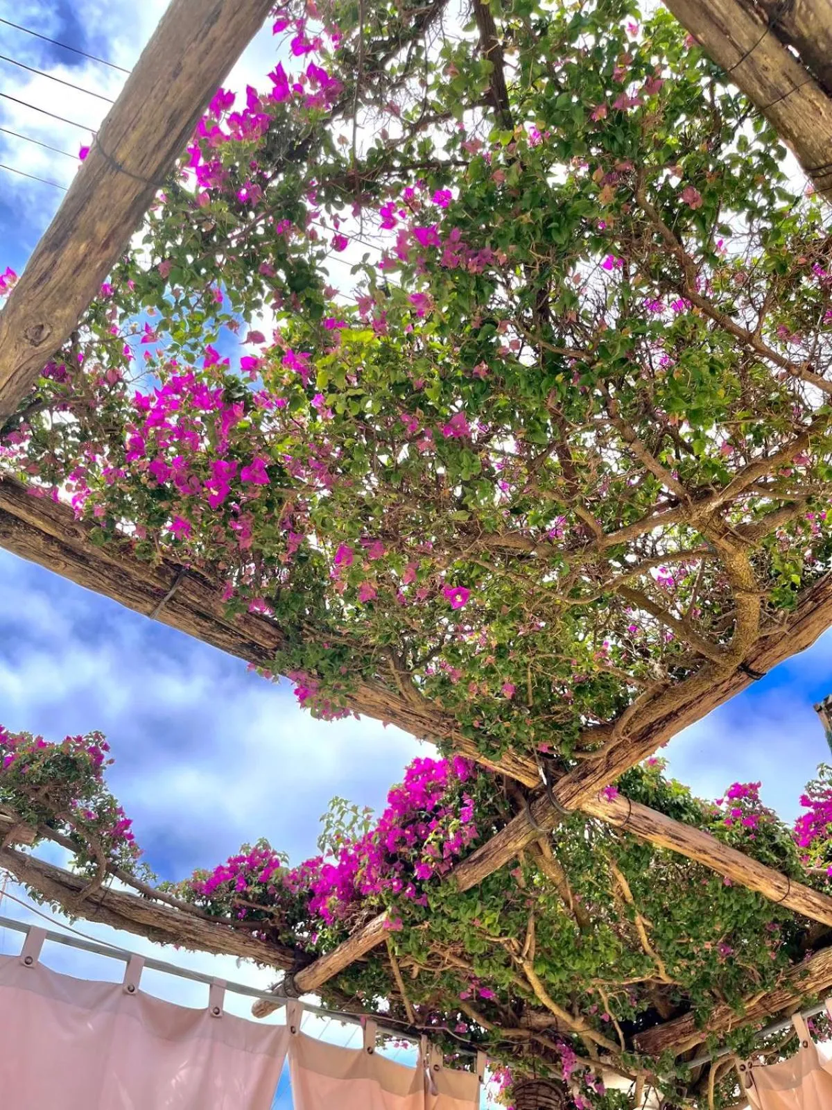 Balcony/Terrace in alle Stelle b&b